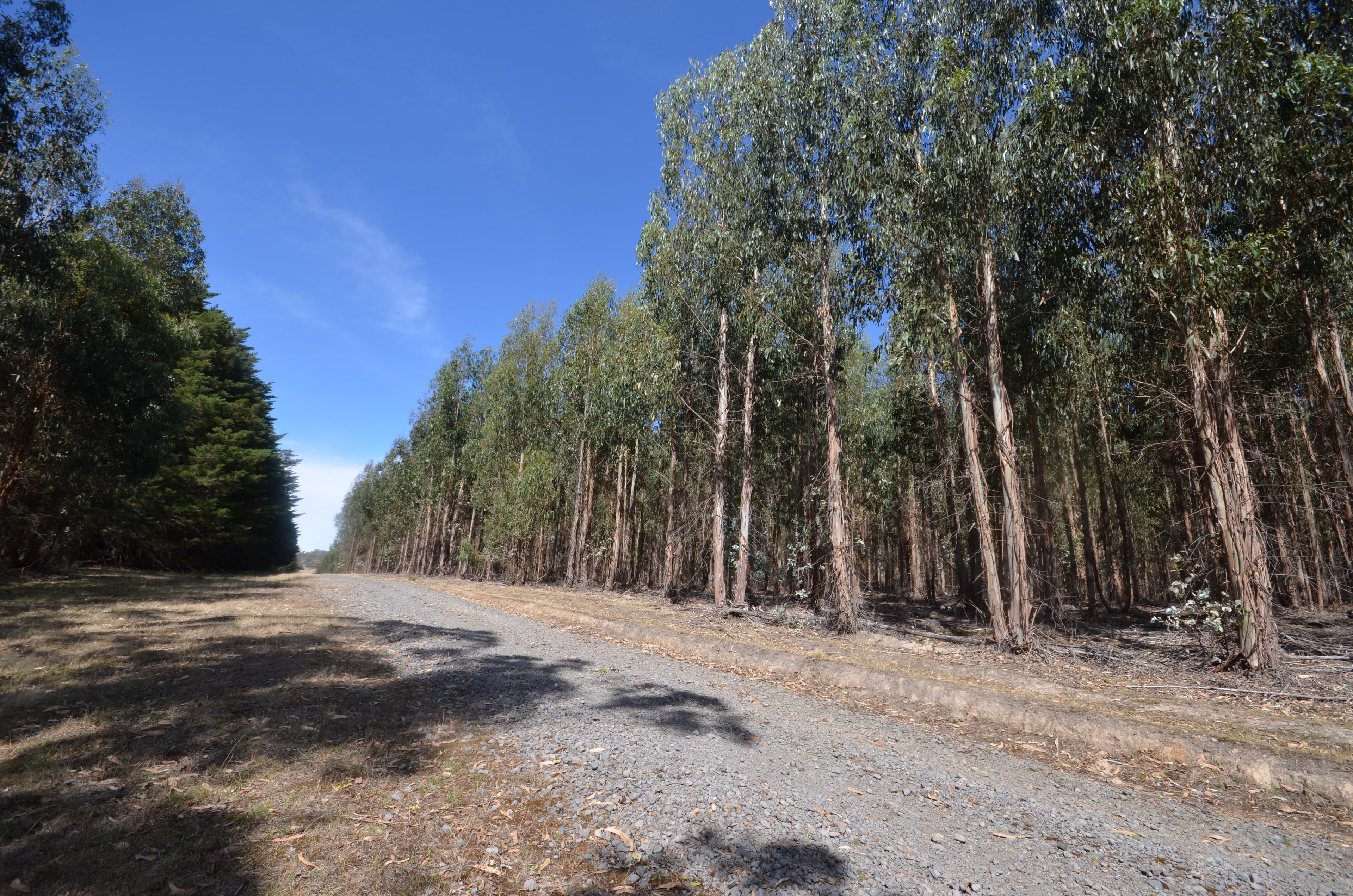 Glenlogie VIC 3469, Glenlogie - Image 1