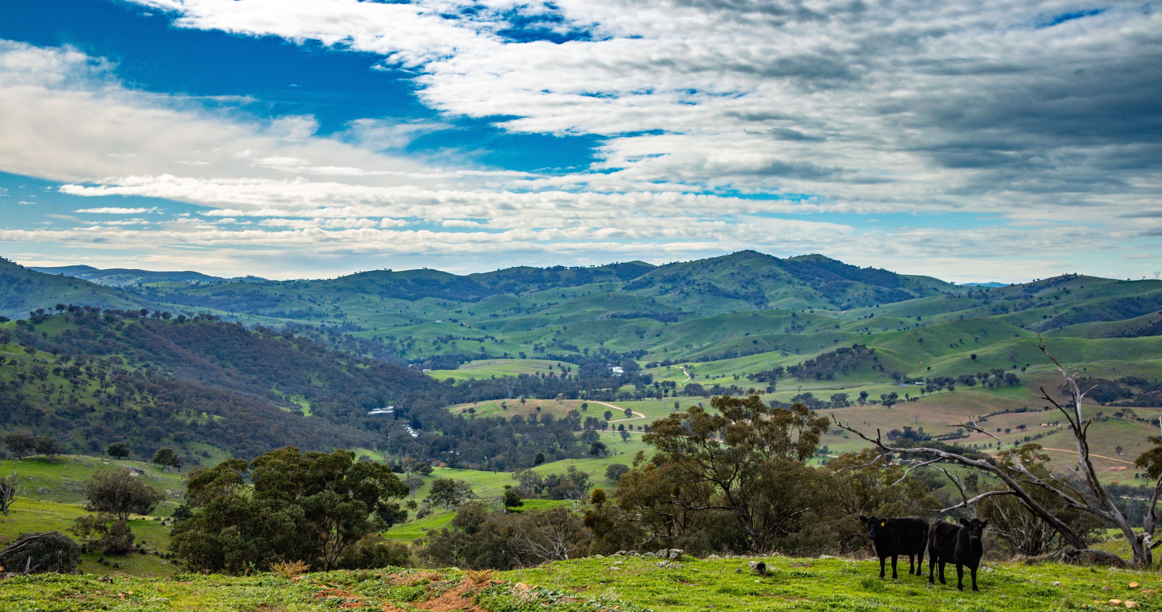 . 'The Barberosa', Jugiong NSW 2726, Jugiong - Thumbnail 7