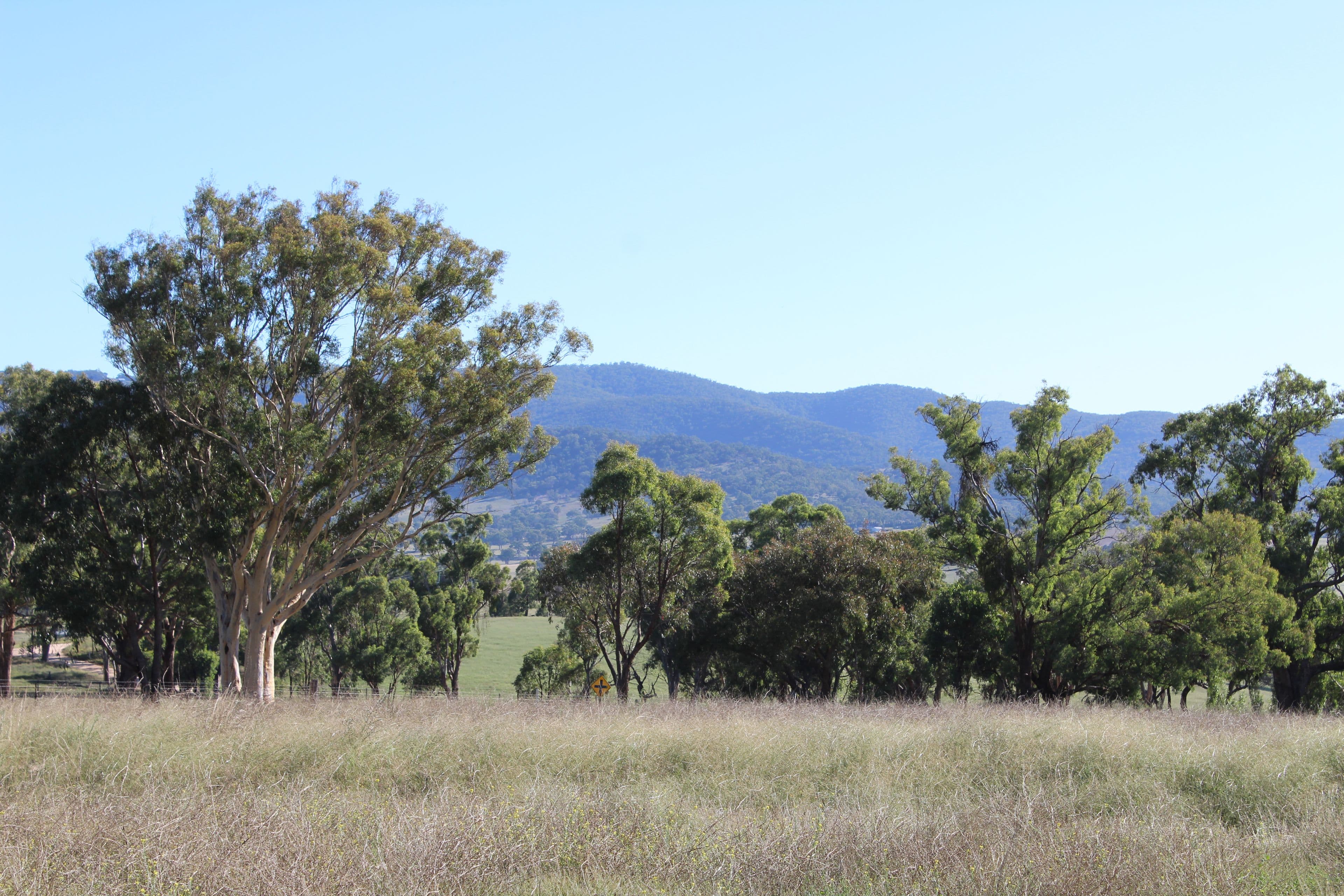 O'Connell NSW 2795, O'Connell - Thumbnail 5