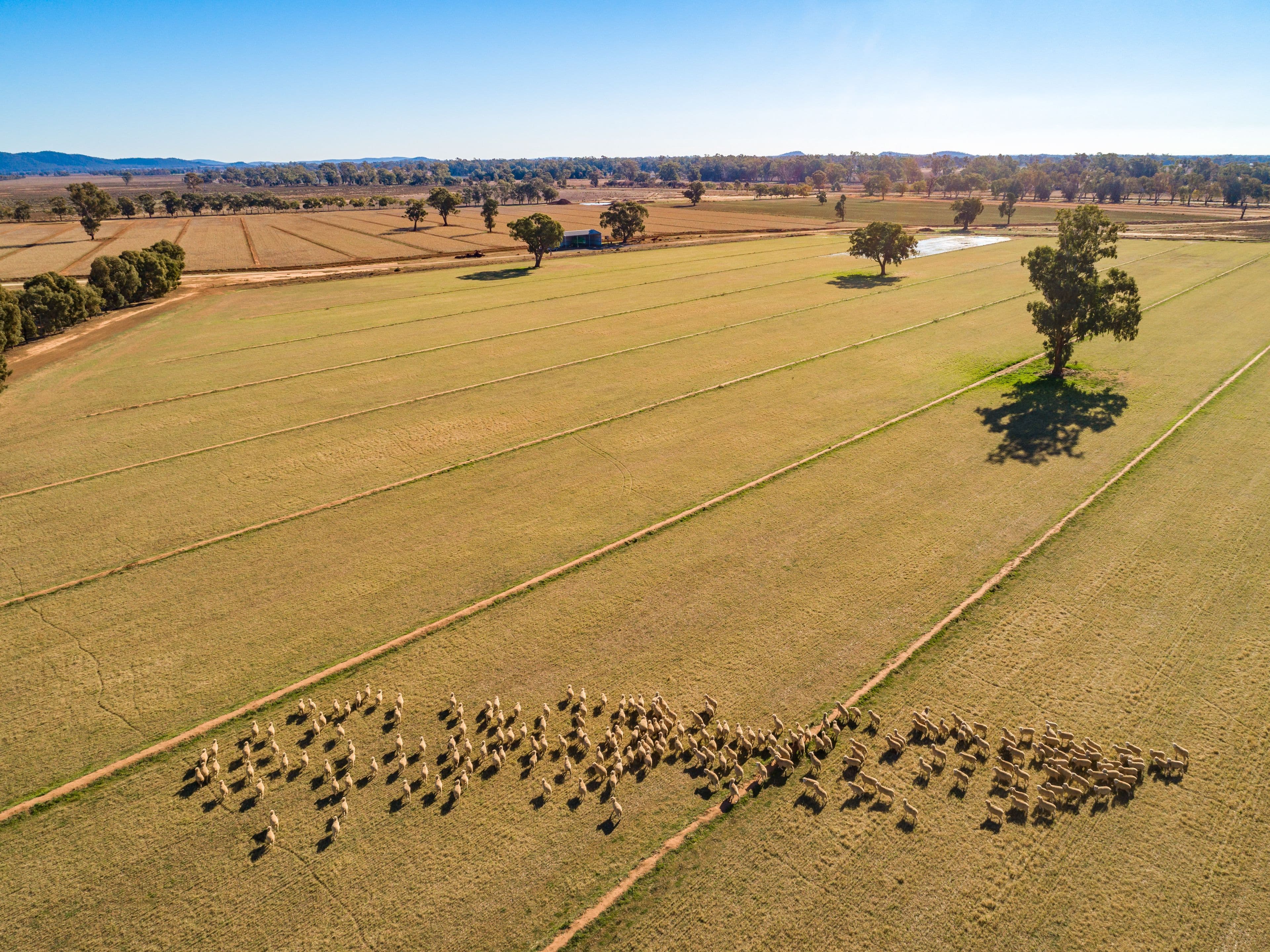 5678 Lachlan Valley Way, Fairholme NSW 2871, Fairholme - Thumbnail 2