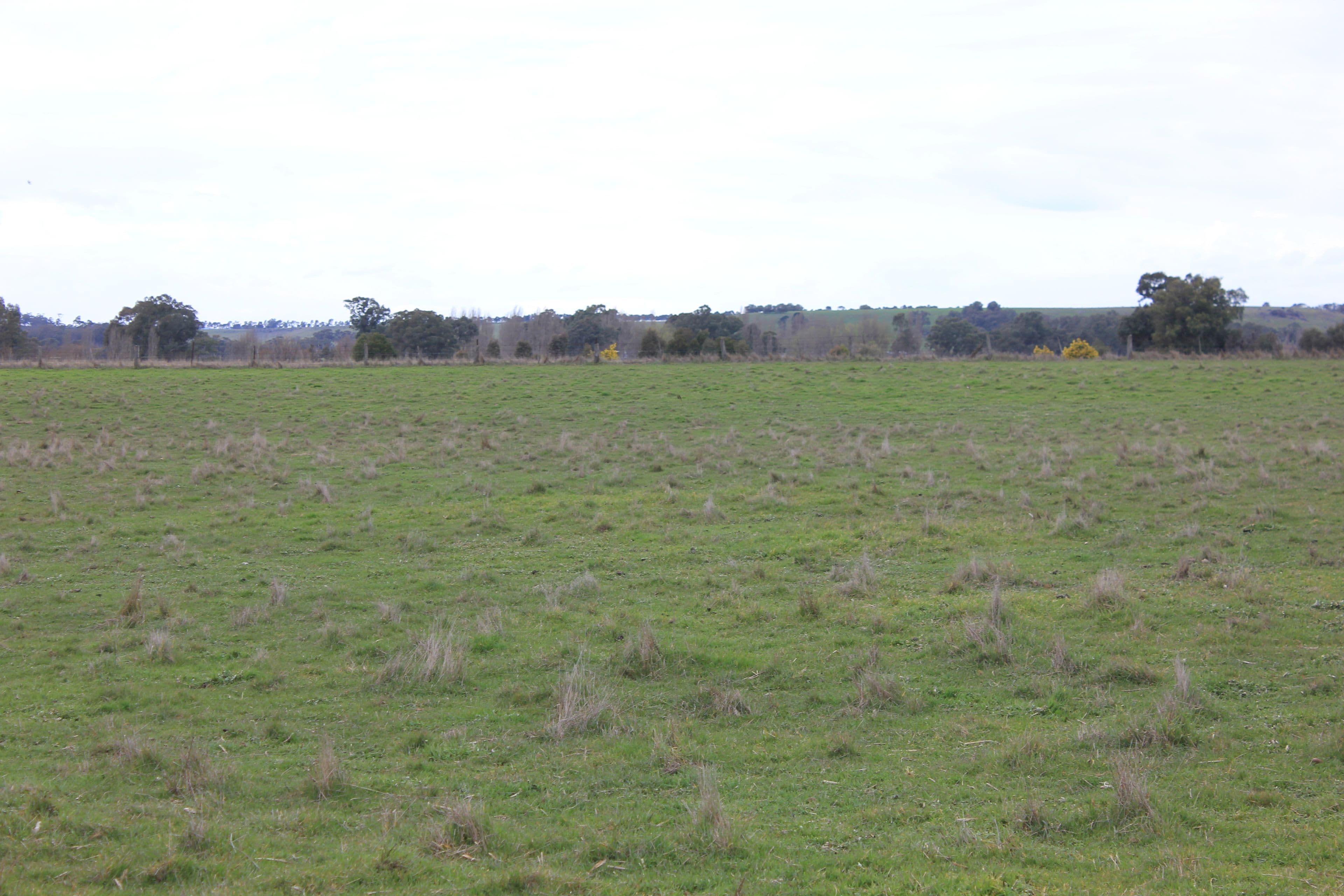 Newstead VIC 3462, Newstead - Thumbnail 4