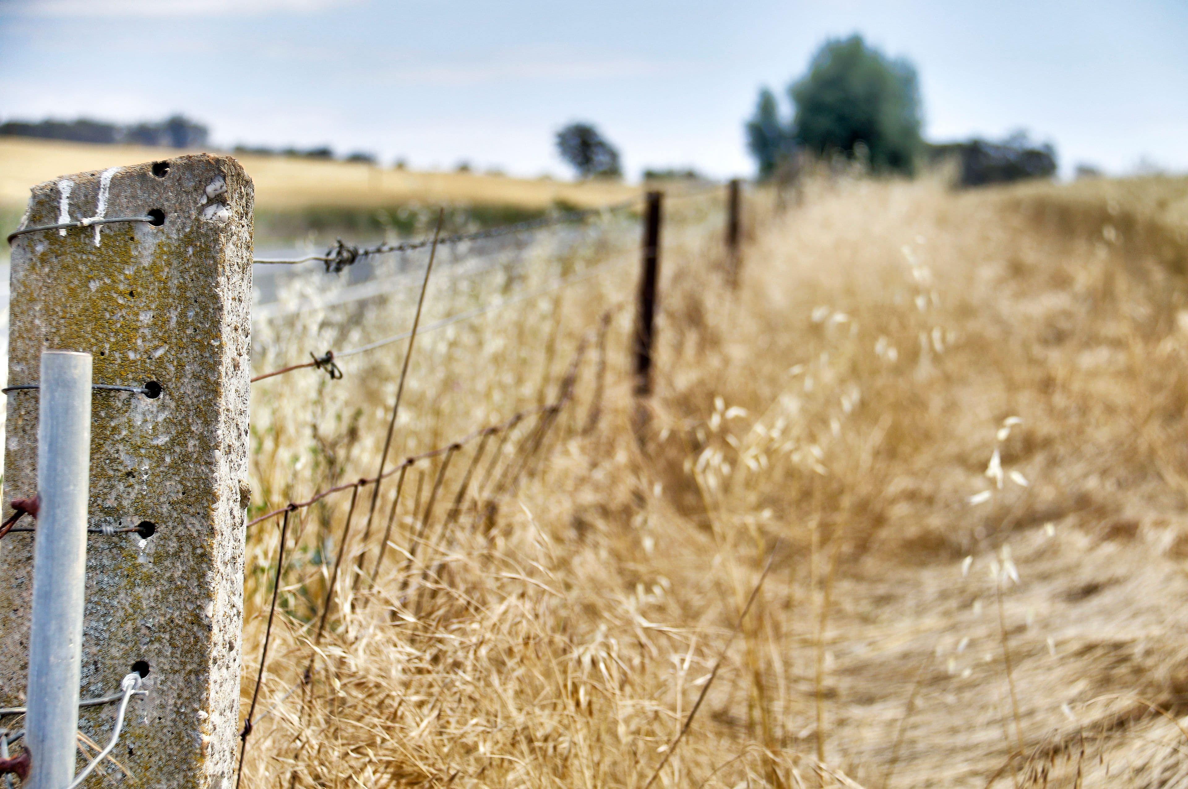 "Cloverhills" Brothers Hill Road, MANOORA SA 5414, Manoora - Thumbnail 6