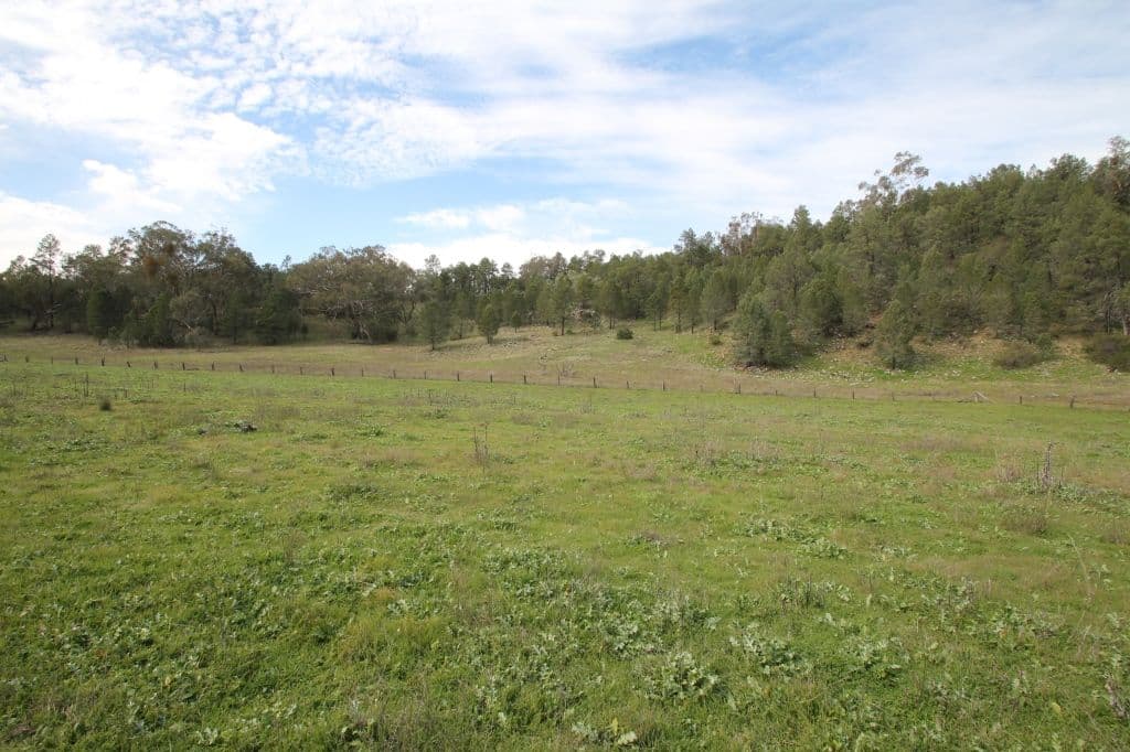 Lot 12 Grandview Place, Quirindi NSW 2343, Quirindi - Thumbnail 7