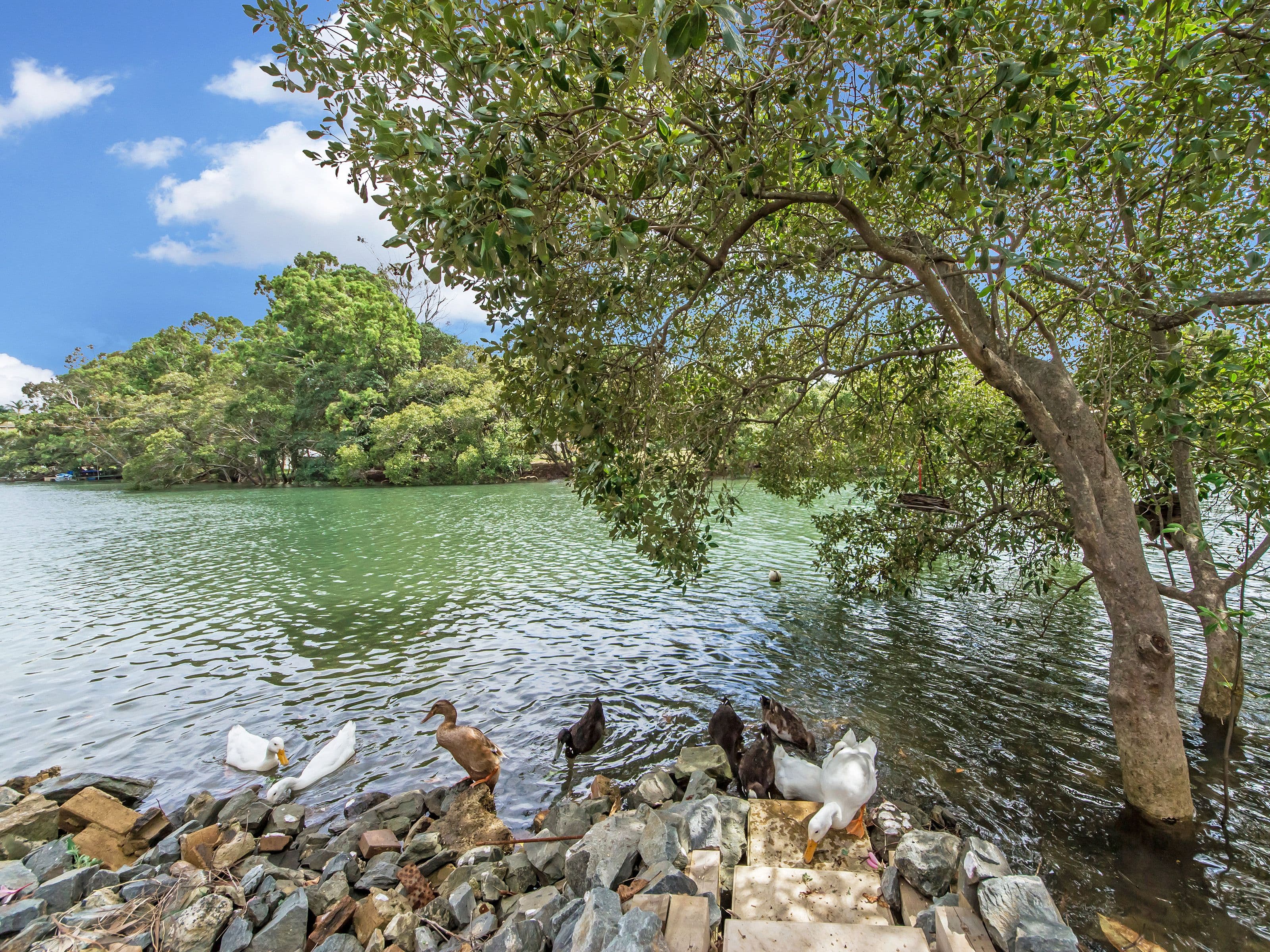5 Royal Palm Court, Southport QLD 4215, Southport - Thumbnail 3