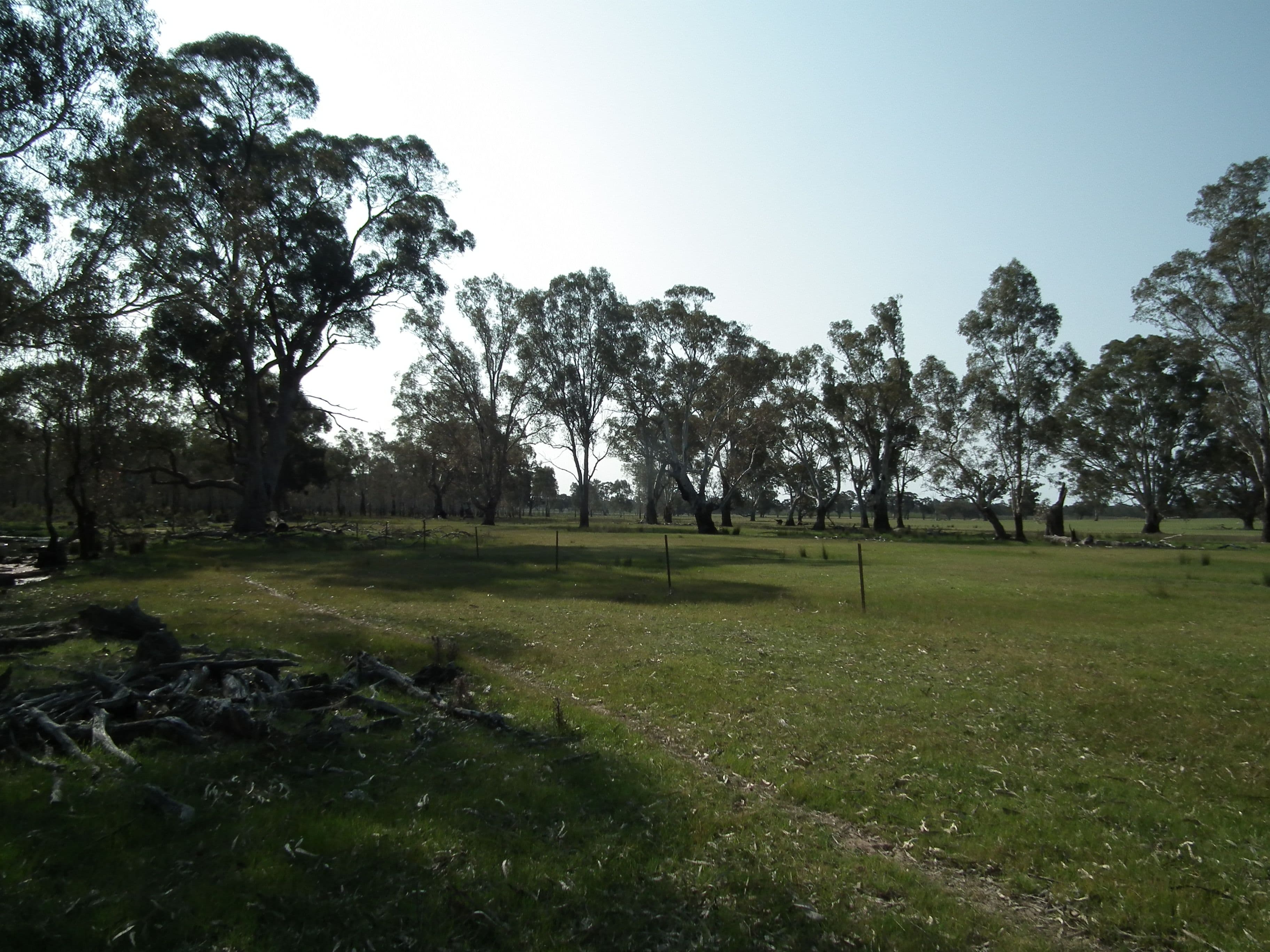 "Buffalo" Buffalo Swamp Road, Kirwans Bridge VIC 3608, Kirwans Bridge - Thumbnail 7