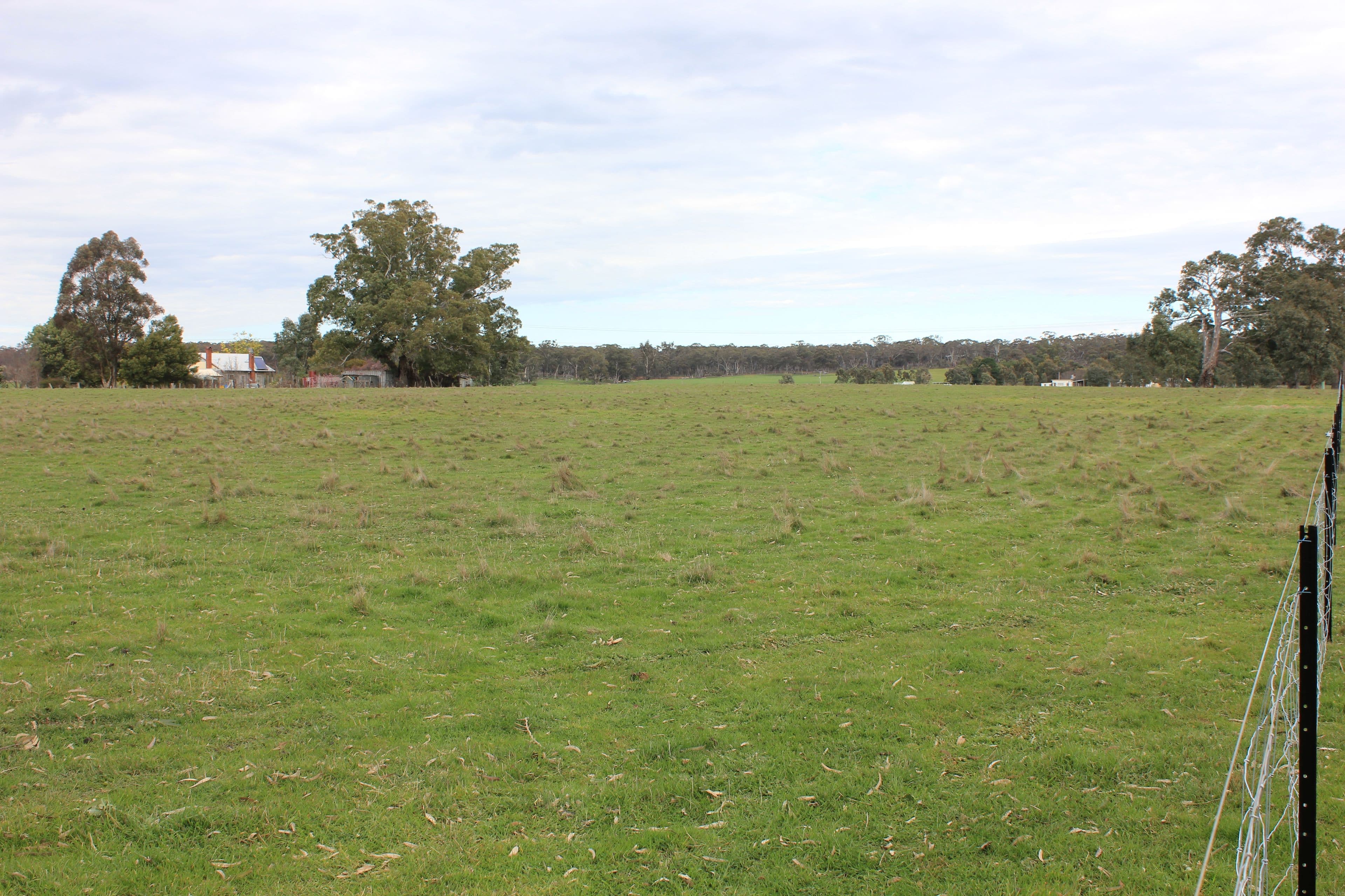 Newstead VIC 3462, Newstead - Thumbnail 2