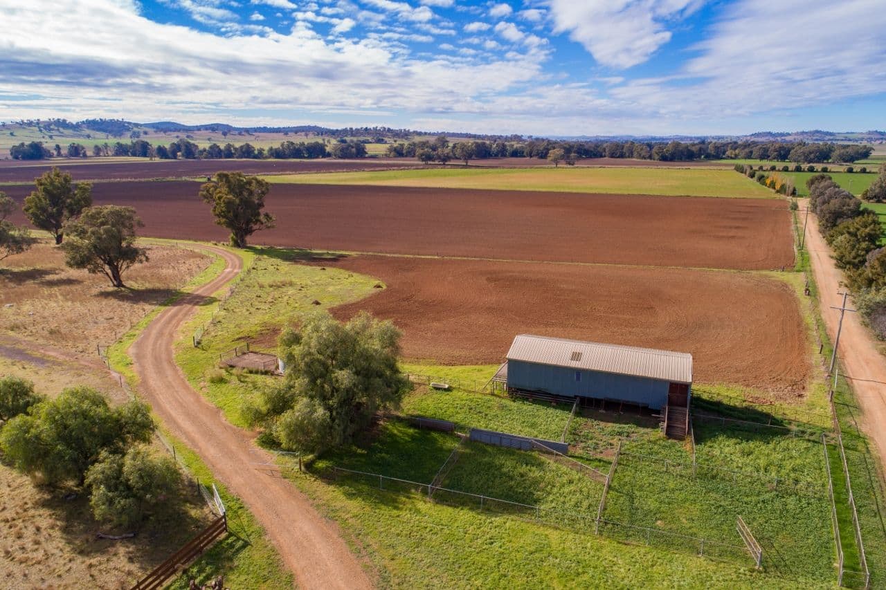 166 Settlement Bridge Road, Canowindra NSW 2804, Canowindra - Thumbnail 7