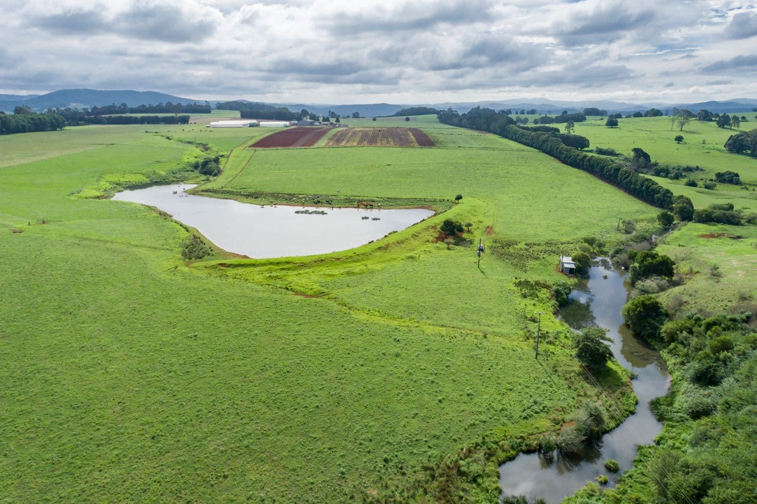 68 Paddys Plains Road, Dorrigo NSW 2453, Dorrigo - Thumbnail 6