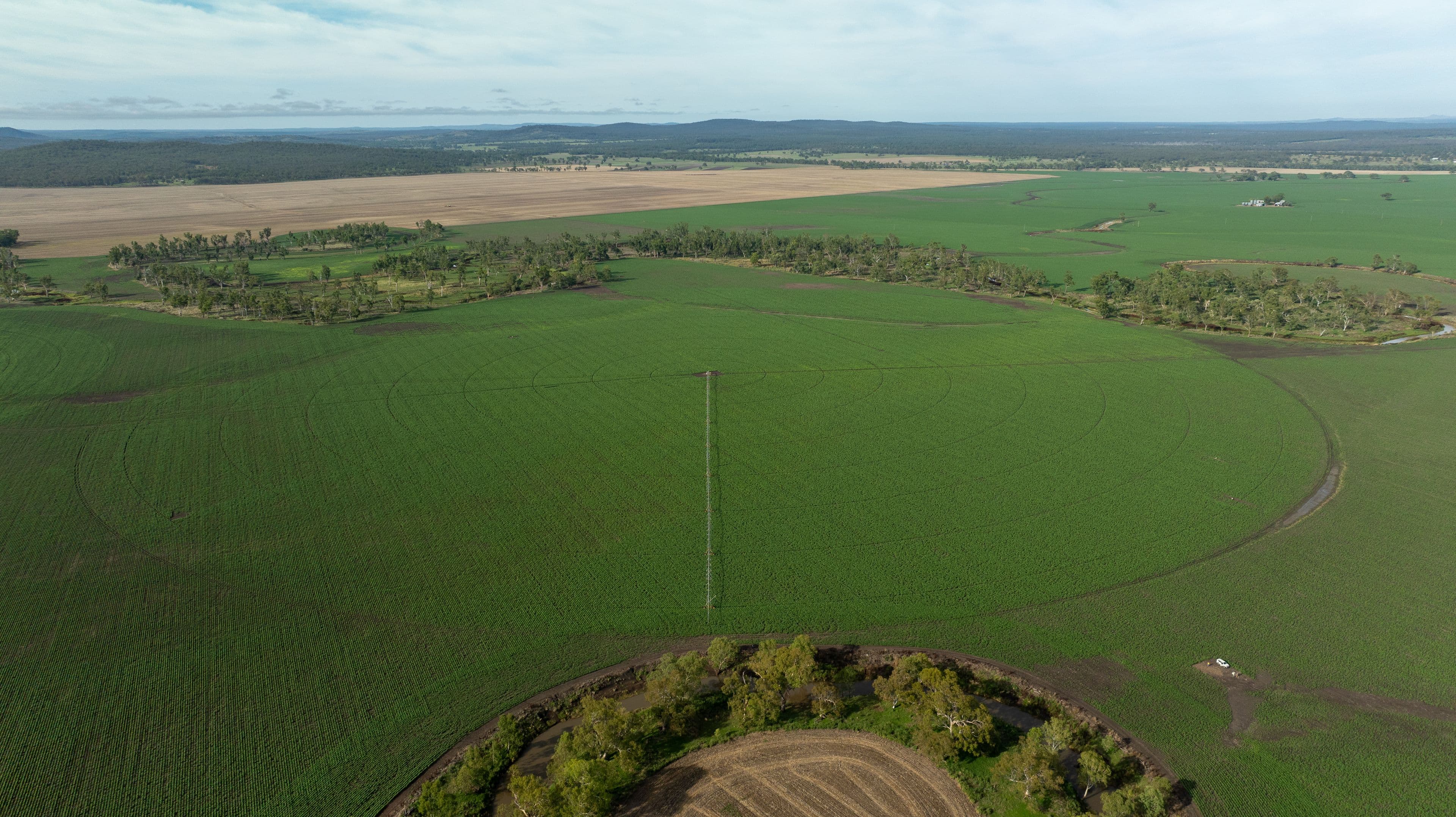 "Millbrook" Meara Road, Ellangowan QLD 4361, Ellangowan - Image 1