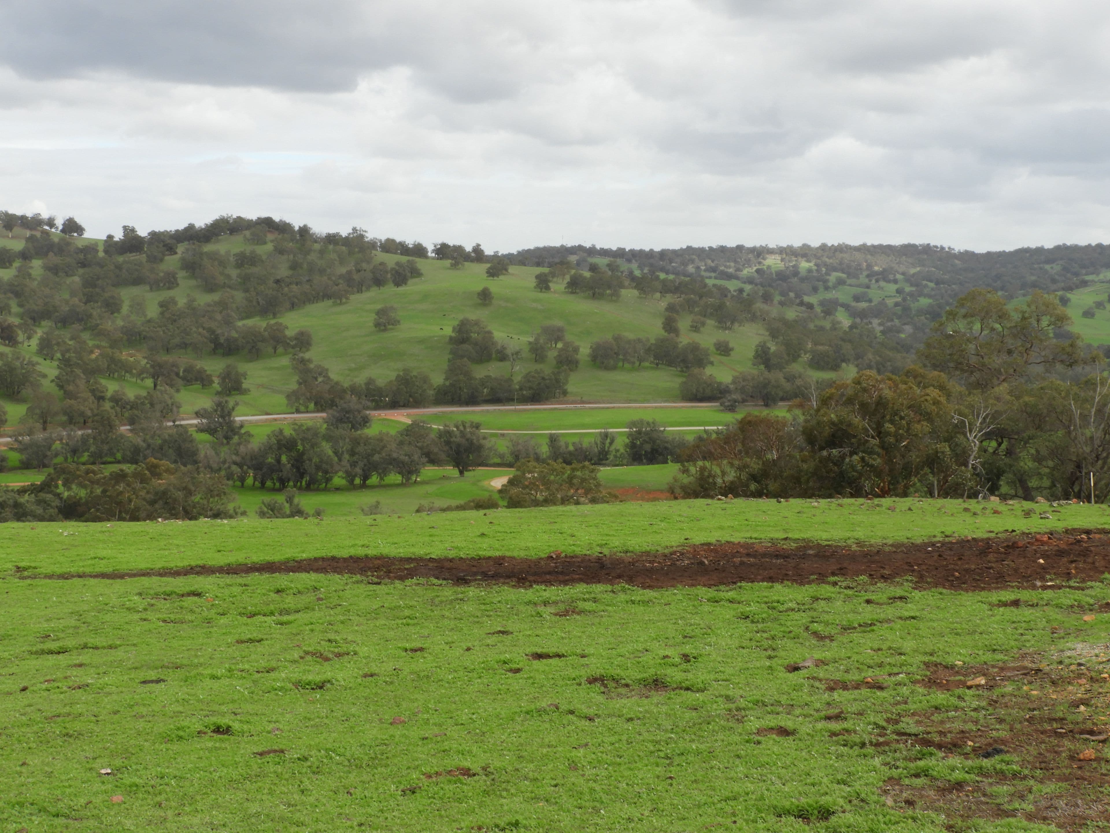 Lot 716 Lower Chittering Road, Chittering WA 6084, Chittering - Thumbnail 7