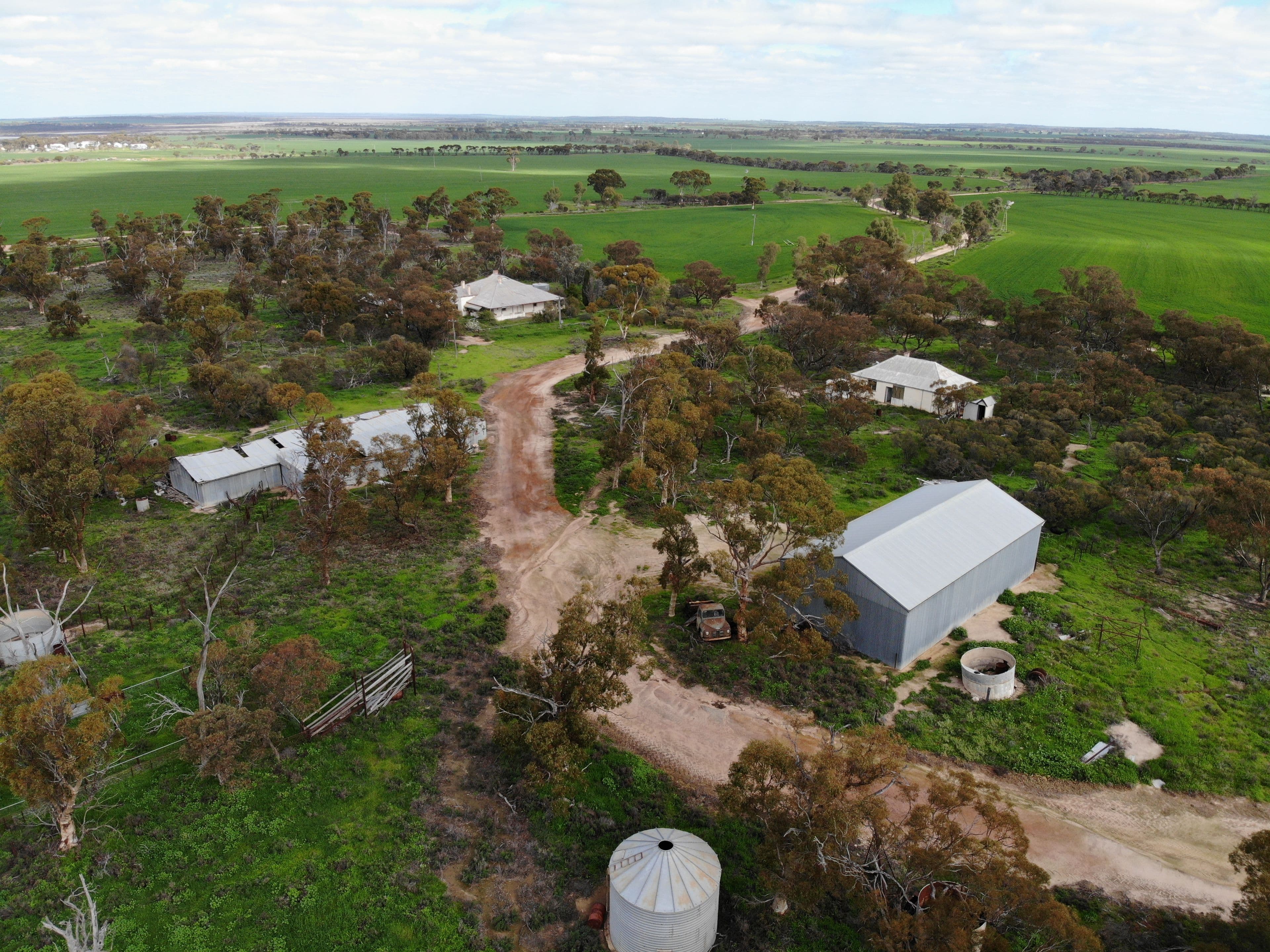Mitchells North, Coorow WA 6515, Coorow - Thumbnail 2