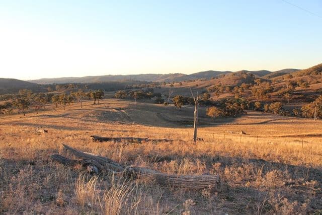 Lot 22 25 Todds Road, Wisemans Creek NSW 2795, Wisemans Creek - Image 1