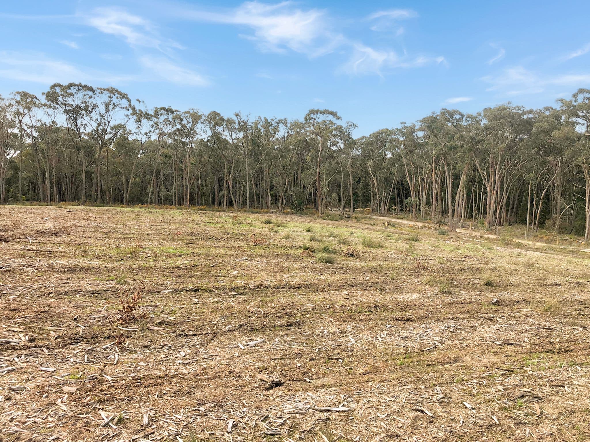 90 Miners Hut Road, Smythesdale VIC 3351, Smythesdale - Thumbnail 3