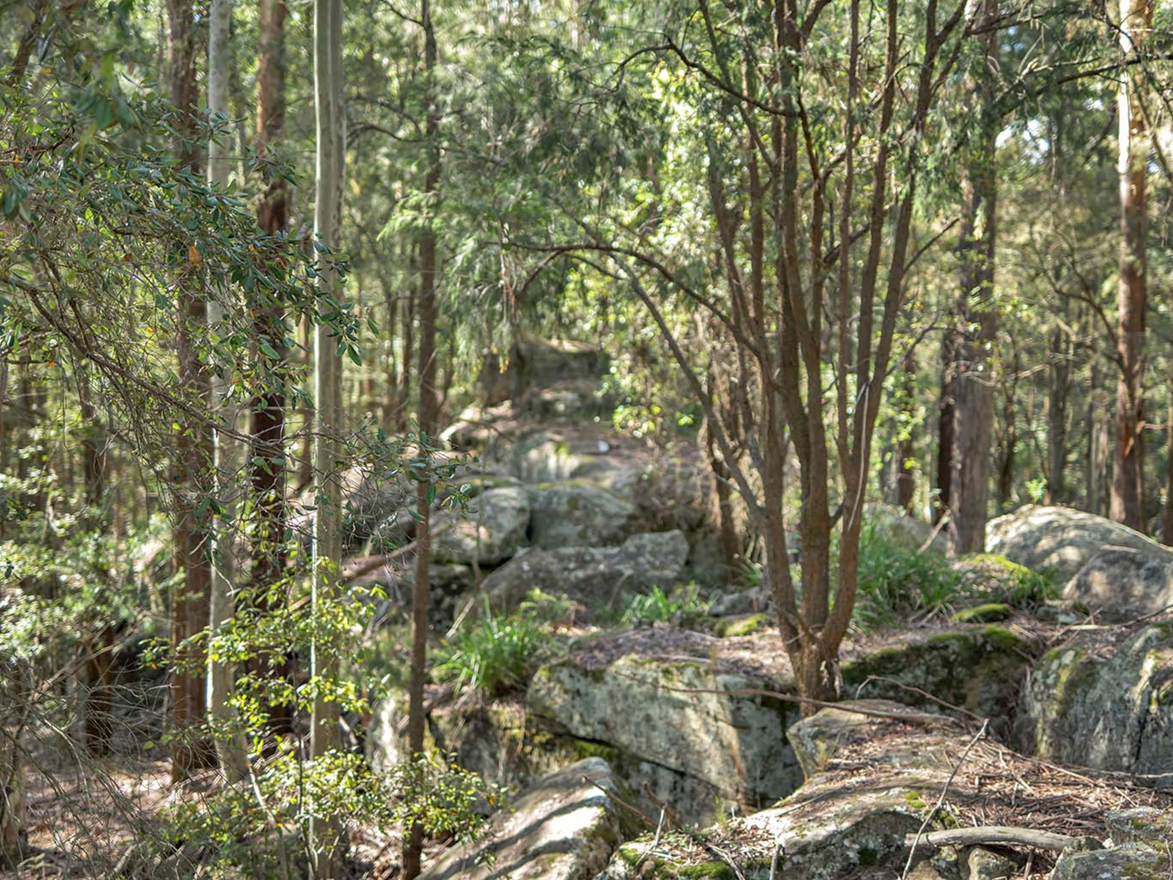 497 Toepfers Road, Wyee NSW 2259, Wyee - Thumbnail 7