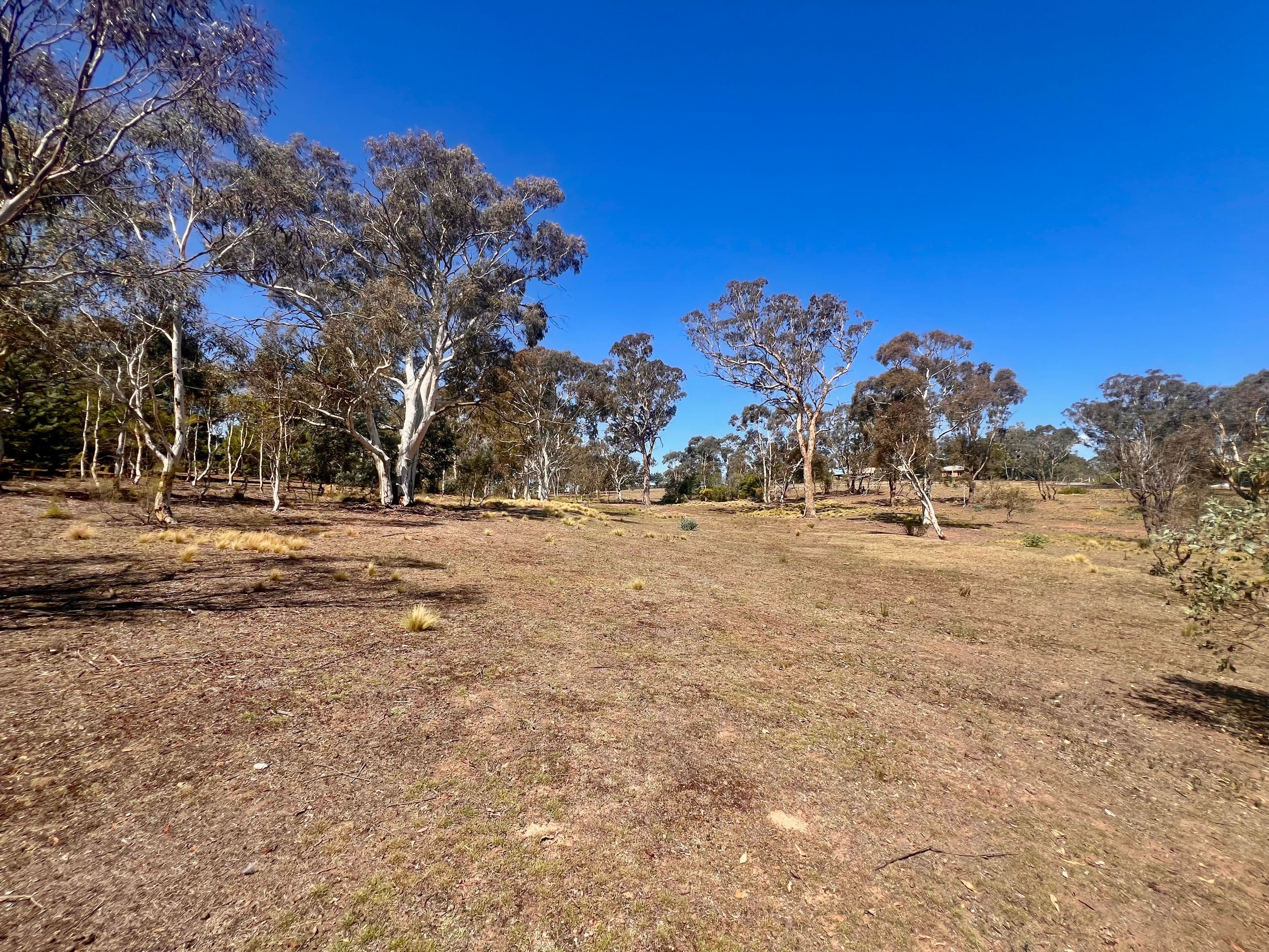 13 Songlark Lane, Sutton NSW 2620, Sutton - Thumbnail 7