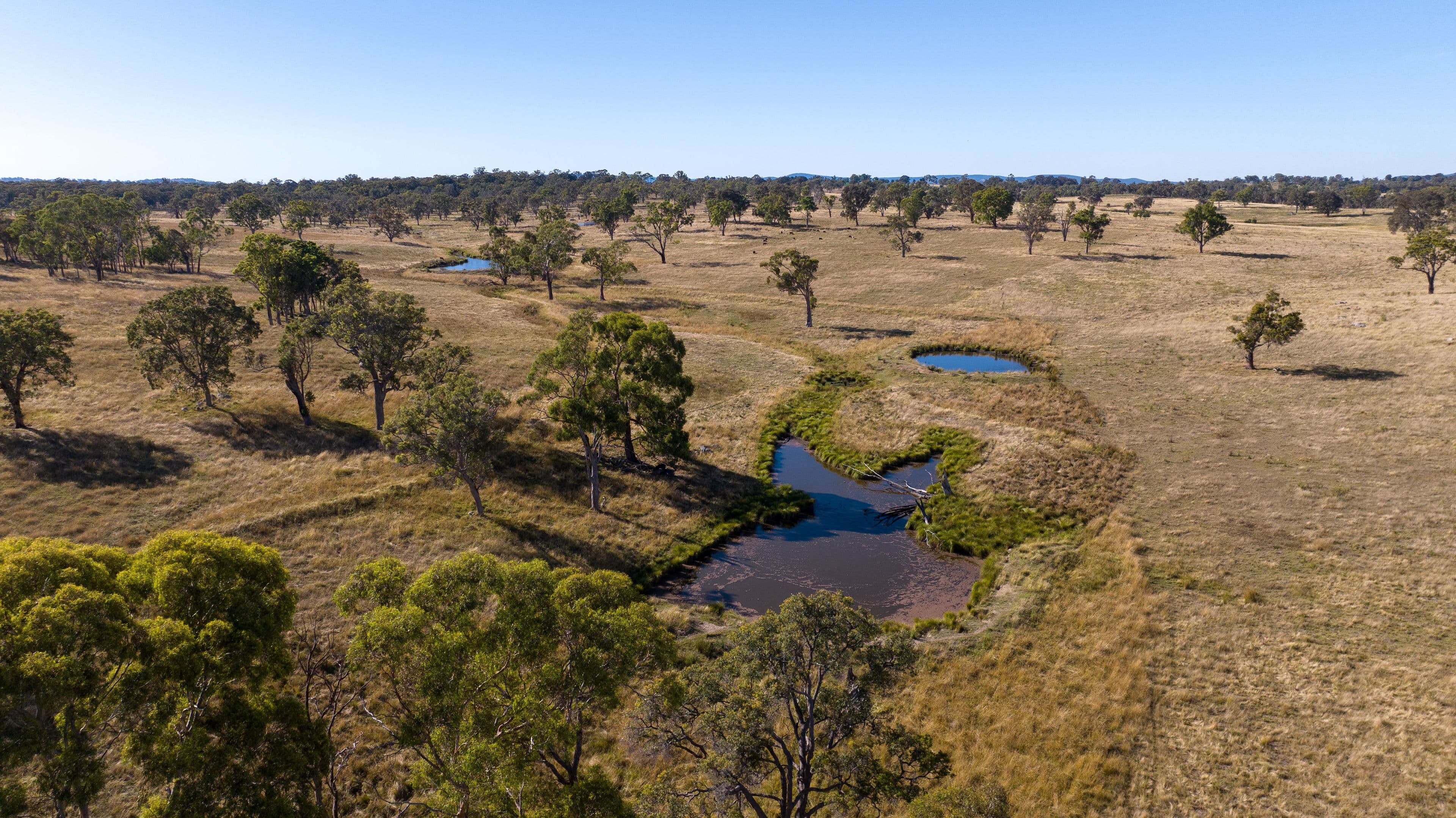 579 Wellington Vale Road, Deepwater NSW 2371, Deepwater - Thumbnail 3