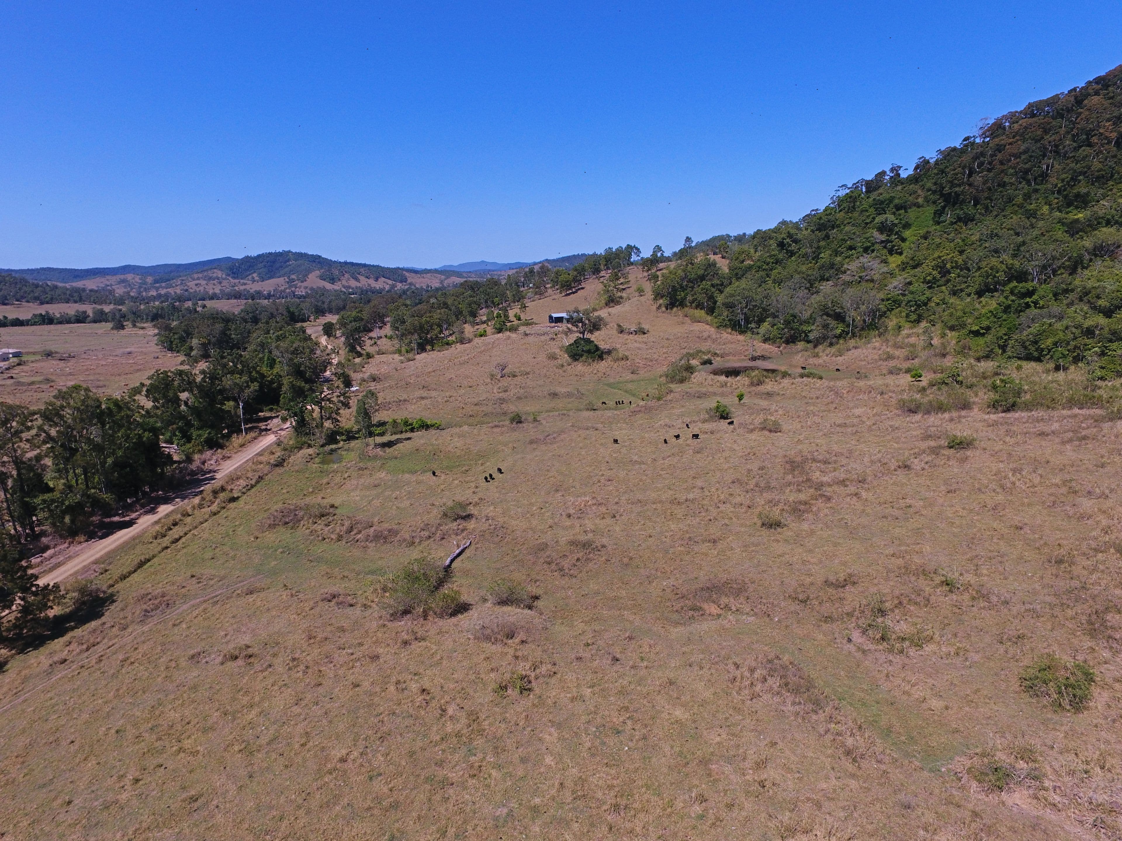 51 Oakey Creek, Sarina Range QLD 4737, Sarina Range - Thumbnail 3