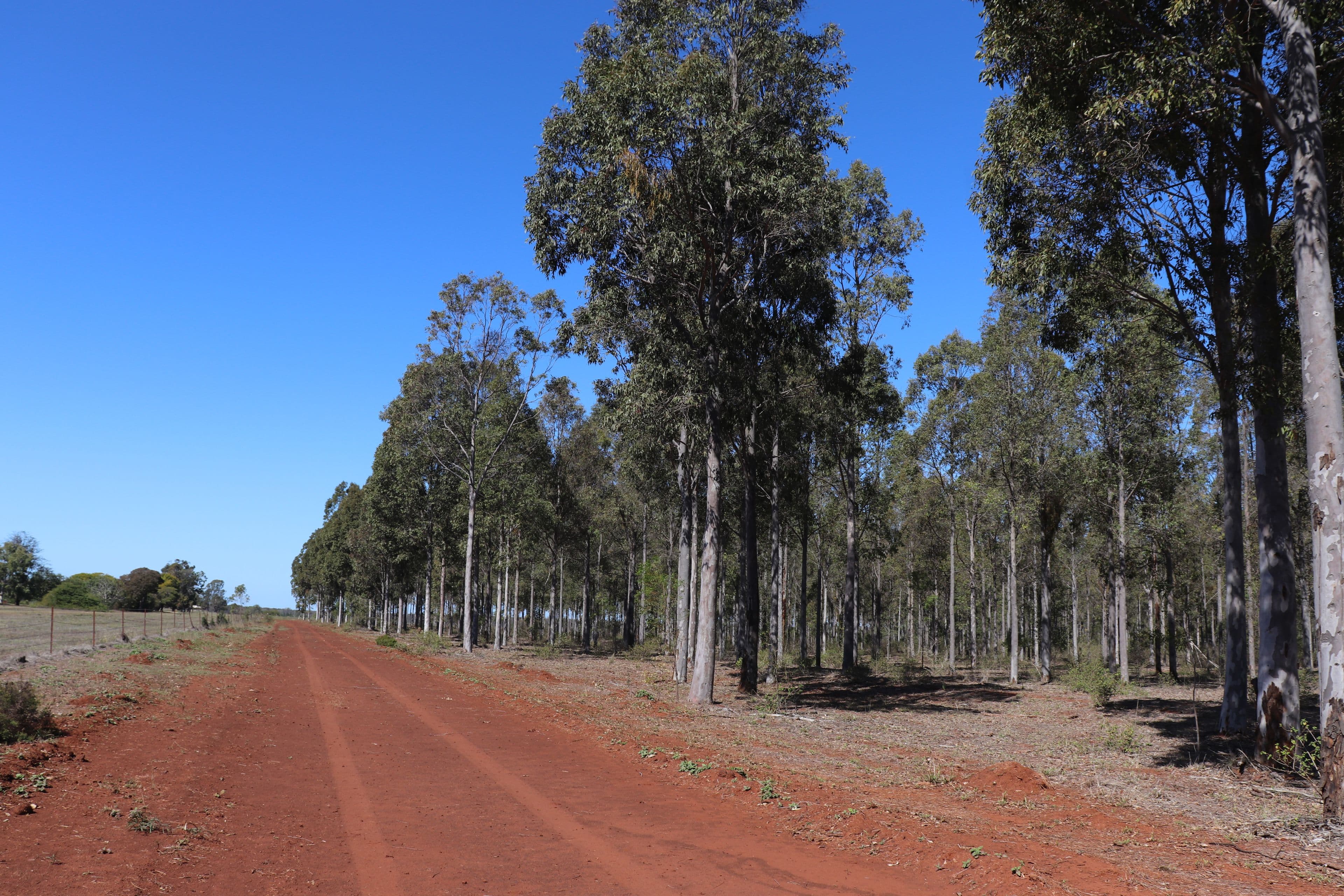 3 Offerings Top Gurgeena Road, Gurgeena QLD 4626, Gurgeena - Thumbnail 8
