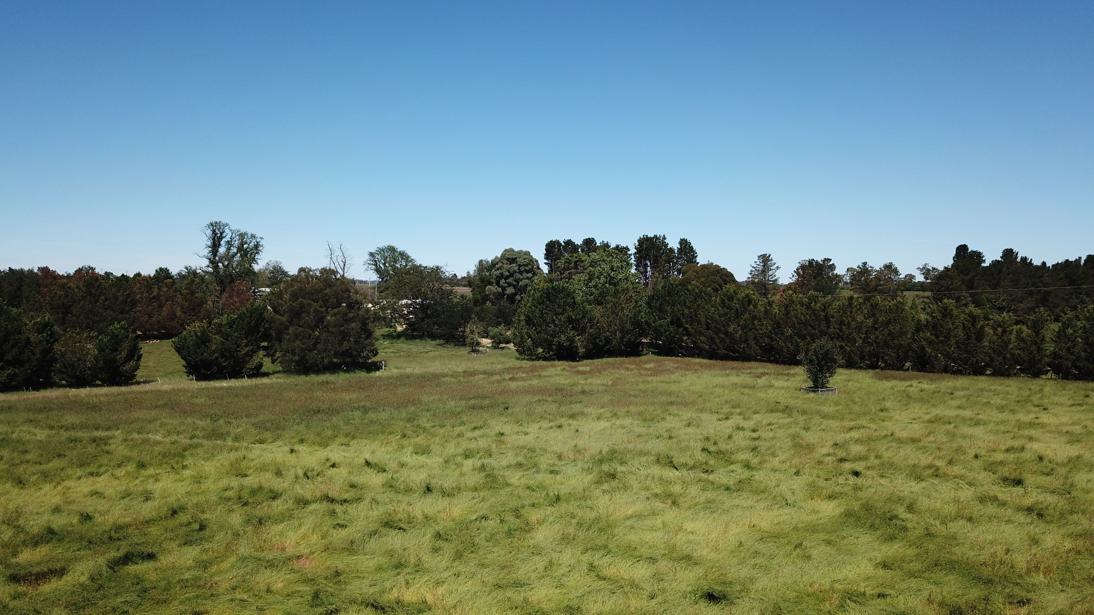 95 Black Lane, Armidale NSW 2350, Armidale - Thumbnail 5