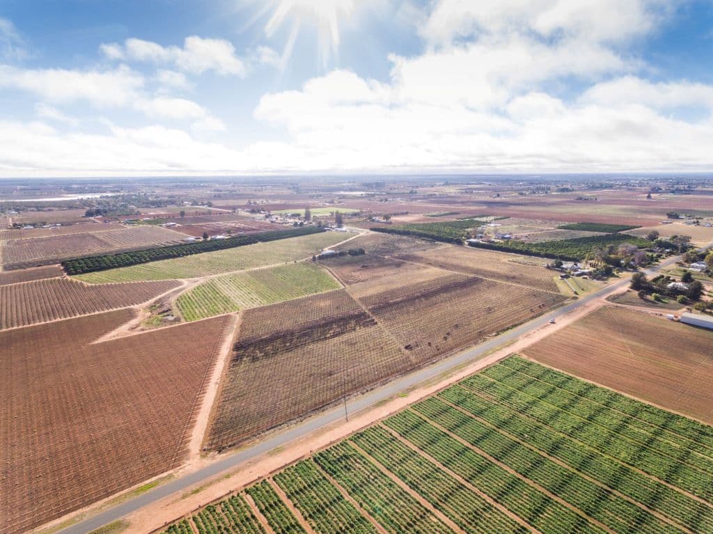 608 Paschendale Avenue, Merbein West VIC 3505, Merbein West - Thumbnail 2