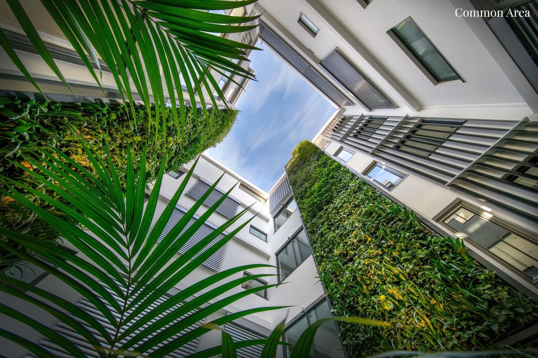 9 Rangers Road, Neutral Bay - Thumbnail 6