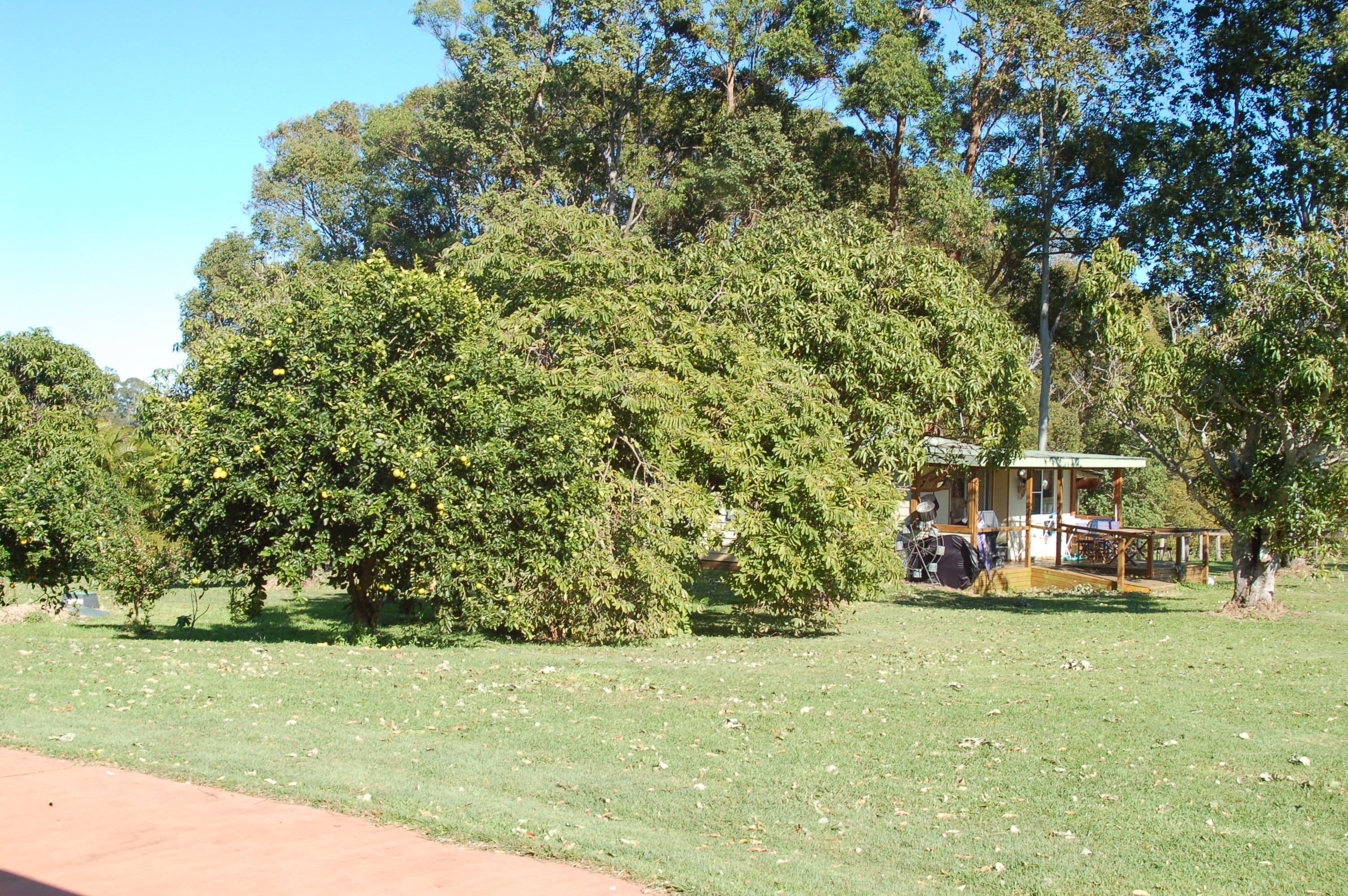 37 Alcorn Road, Tintenbar NSW 2478, Tintenbar - Thumbnail 3