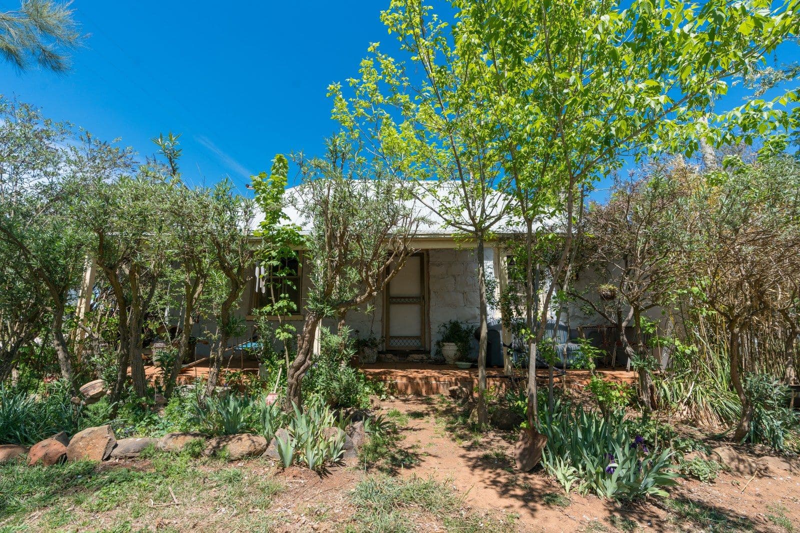271 Forest Reefs Road, Millthorpe - Thumbnail 3