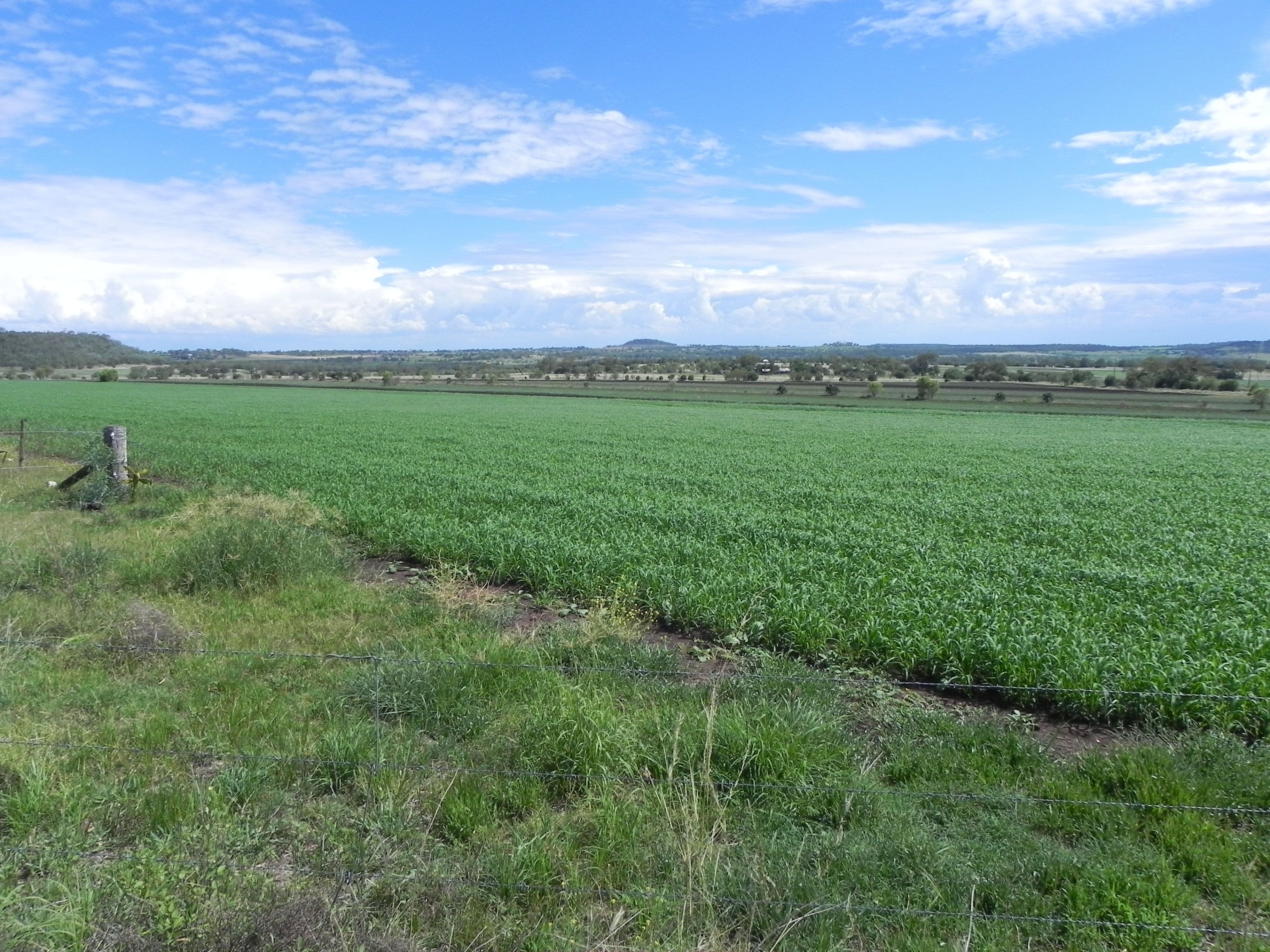 0 Wyangapinni Road, Stoneleigh, Pittsworth QLD 4356, Pittsworth - Image 1