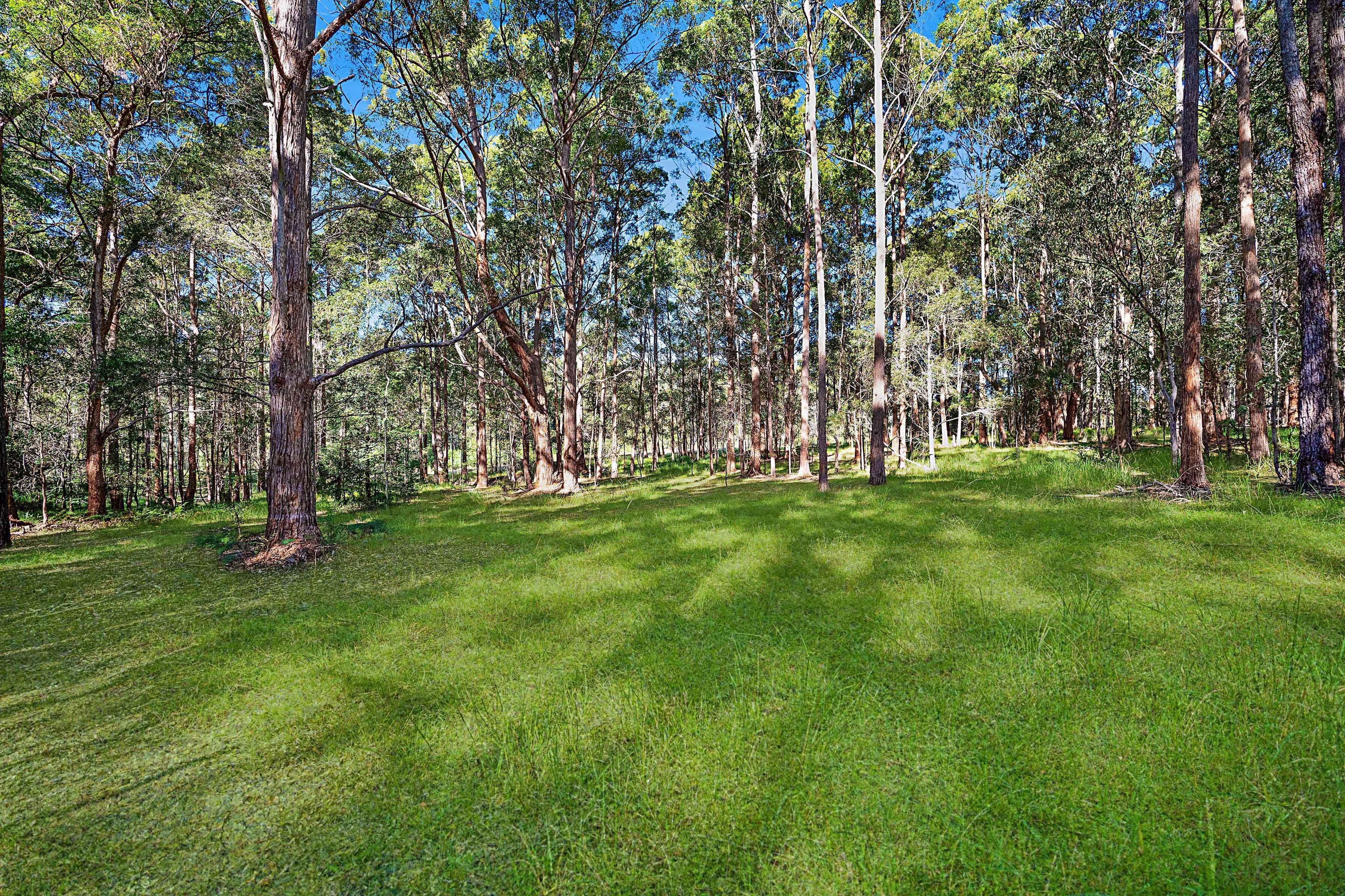 658 Mandalong Road, Mandalong NSW 2264, Mandalong - Thumbnail 5