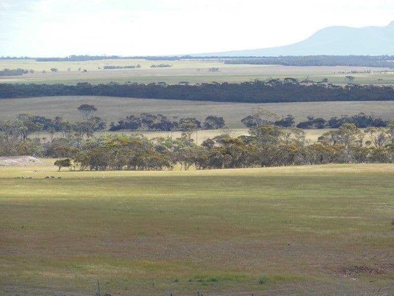 674 Monjebup Road, Boxwood Hill WA 6338, Boxwood Hill - Thumbnail 4
