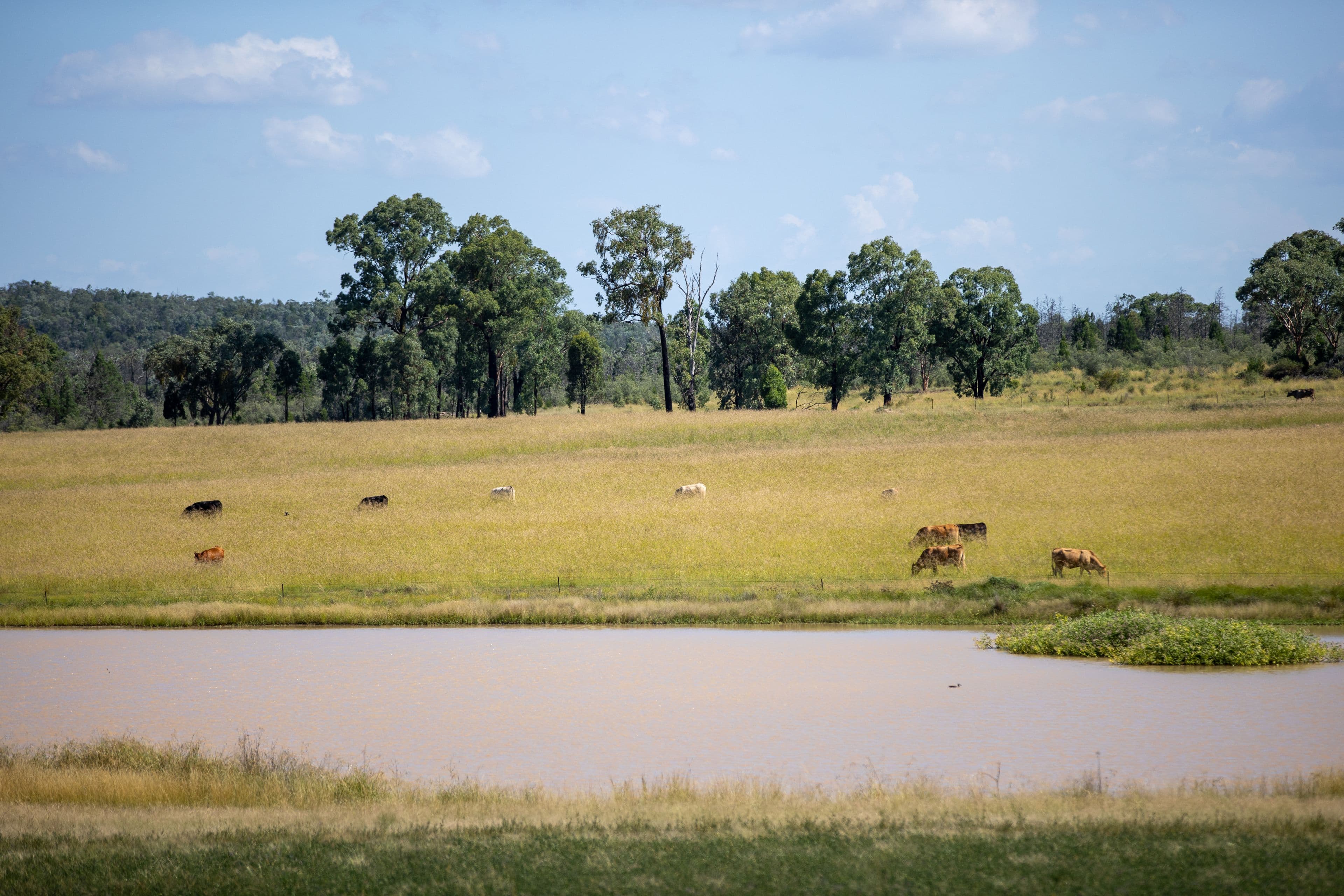 'Swinton' 661 Haywood Road, Delungra NSW 2403, Delungra - Thumbnail 8