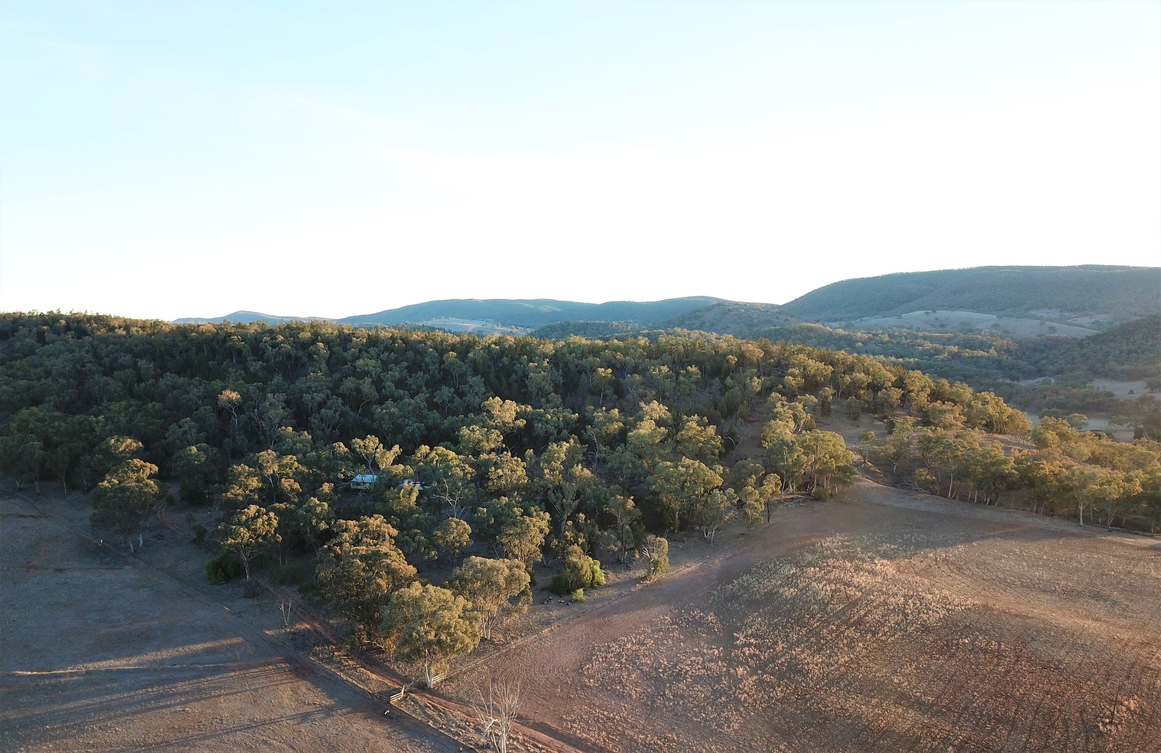 'Fox Hill' 573 Blathery Creek Road, Neurea NSW 2820, Neurea - Thumbnail 2