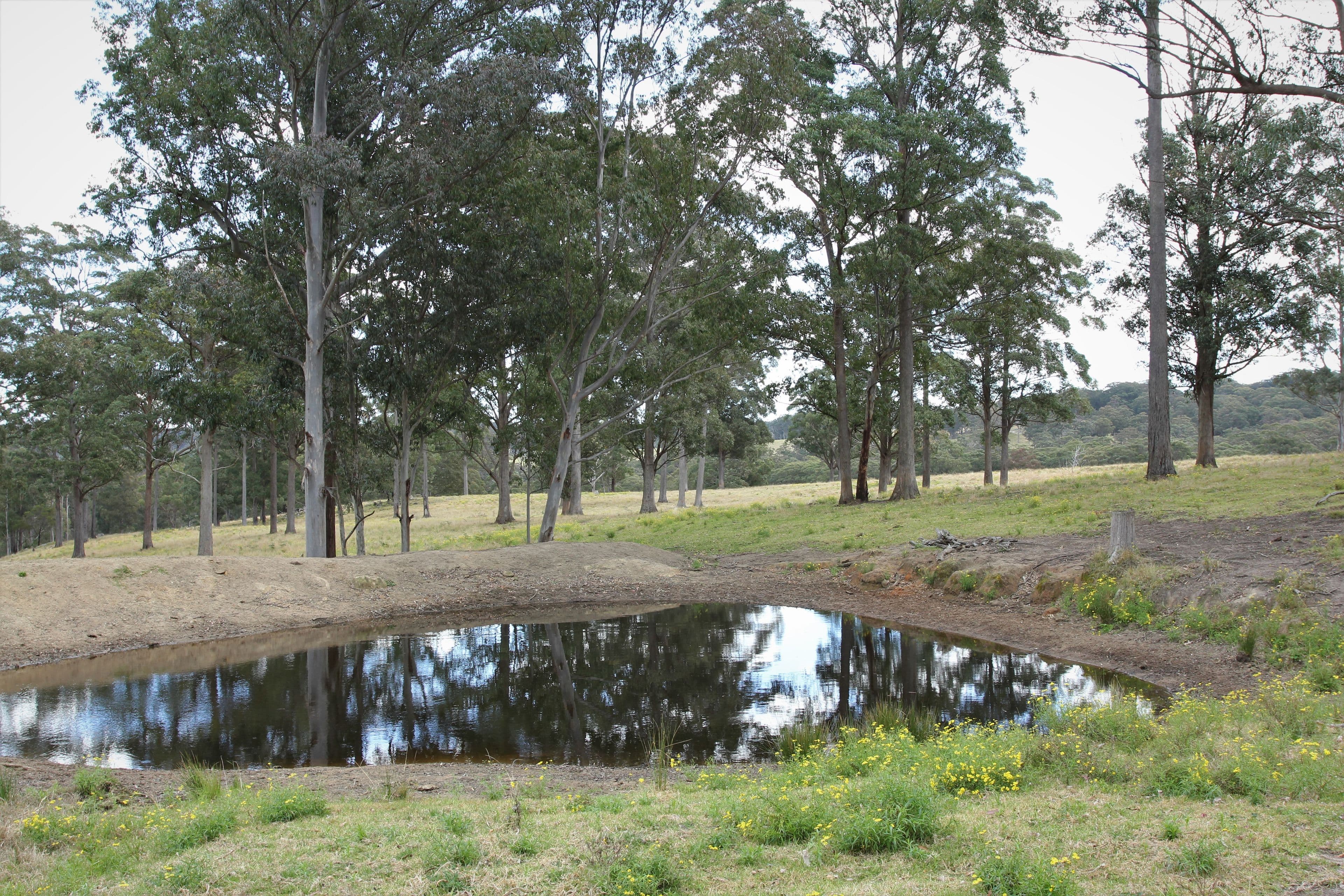 1394 Billirimba Road, Tenterfield NSW 2372, Tenterfield - Thumbnail 2