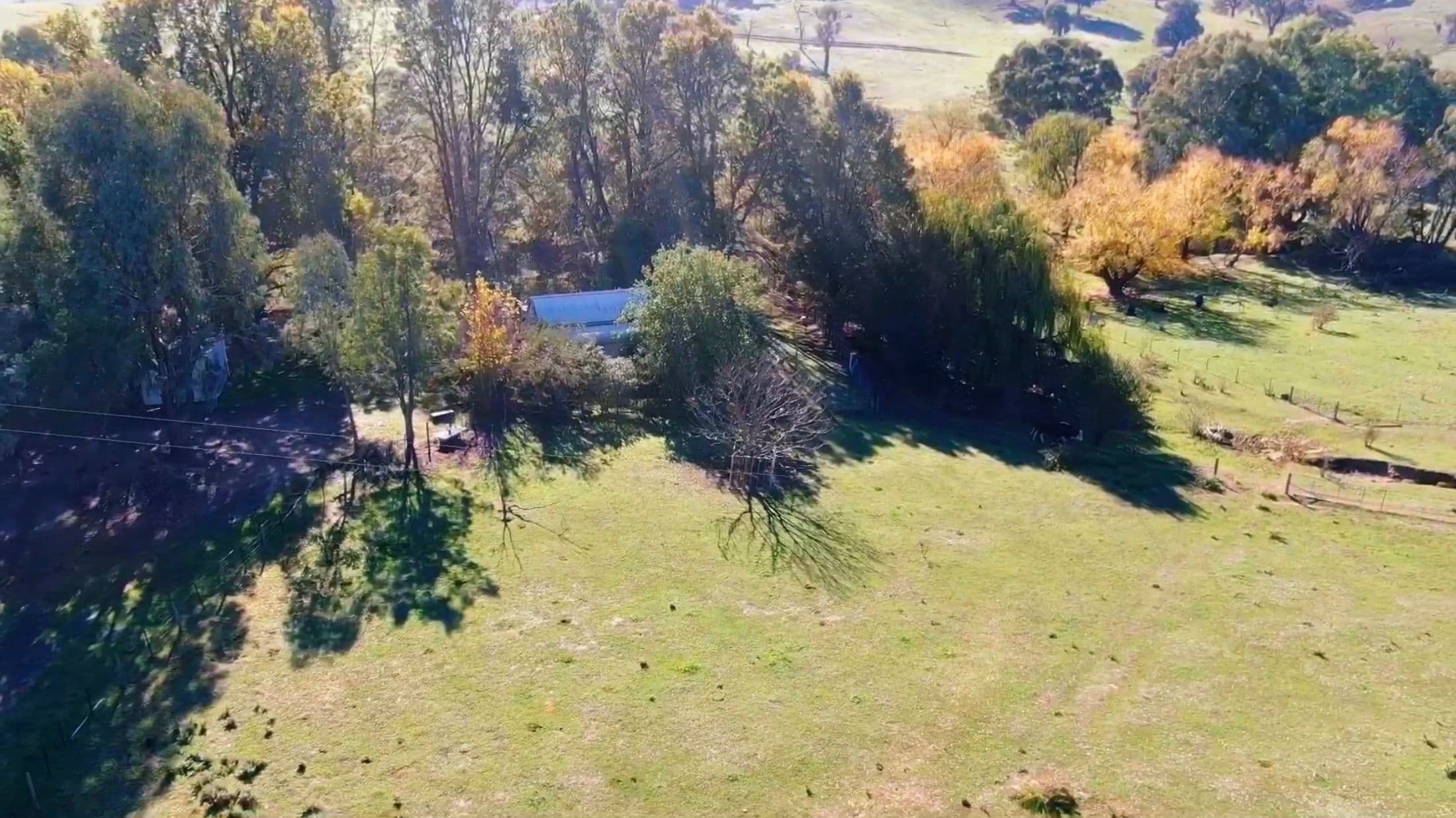 736 Woomargama Way, Woomargama NSW 2644, Woomargama - Image 1