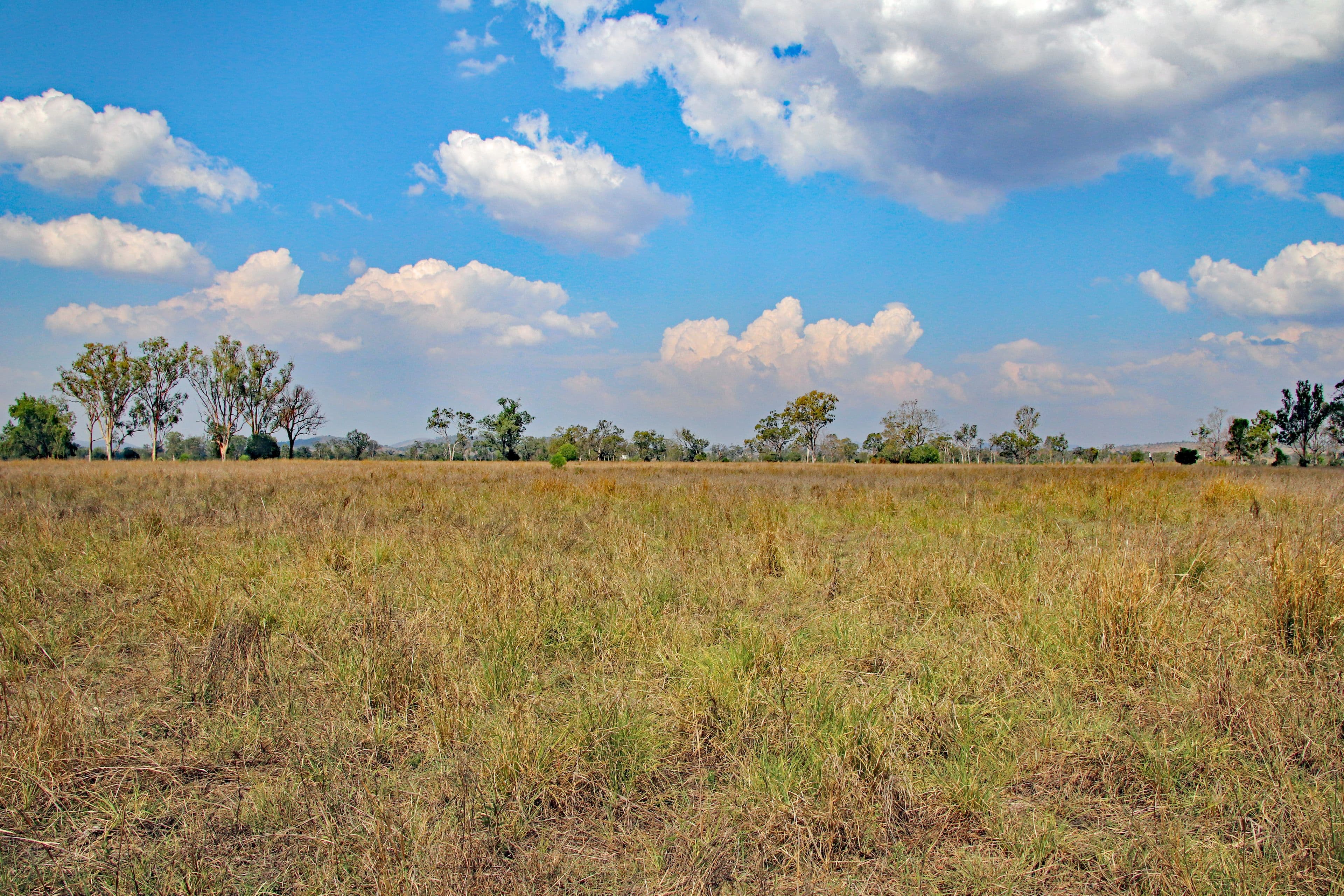 47413 Burnett Highway, Dululu QLD 4702, Dululu - Thumbnail 3