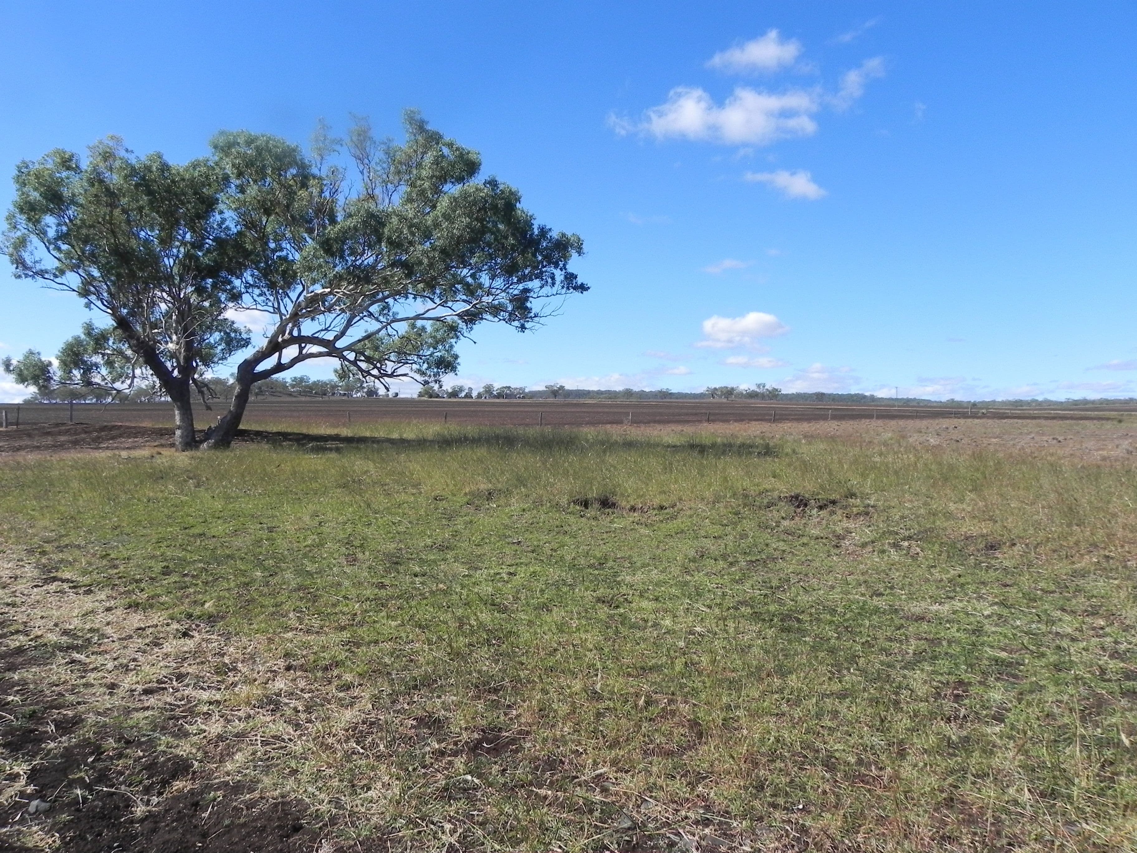 0 Felton - Clifton Road, Felton QLD 4358, Felton - Thumbnail 4