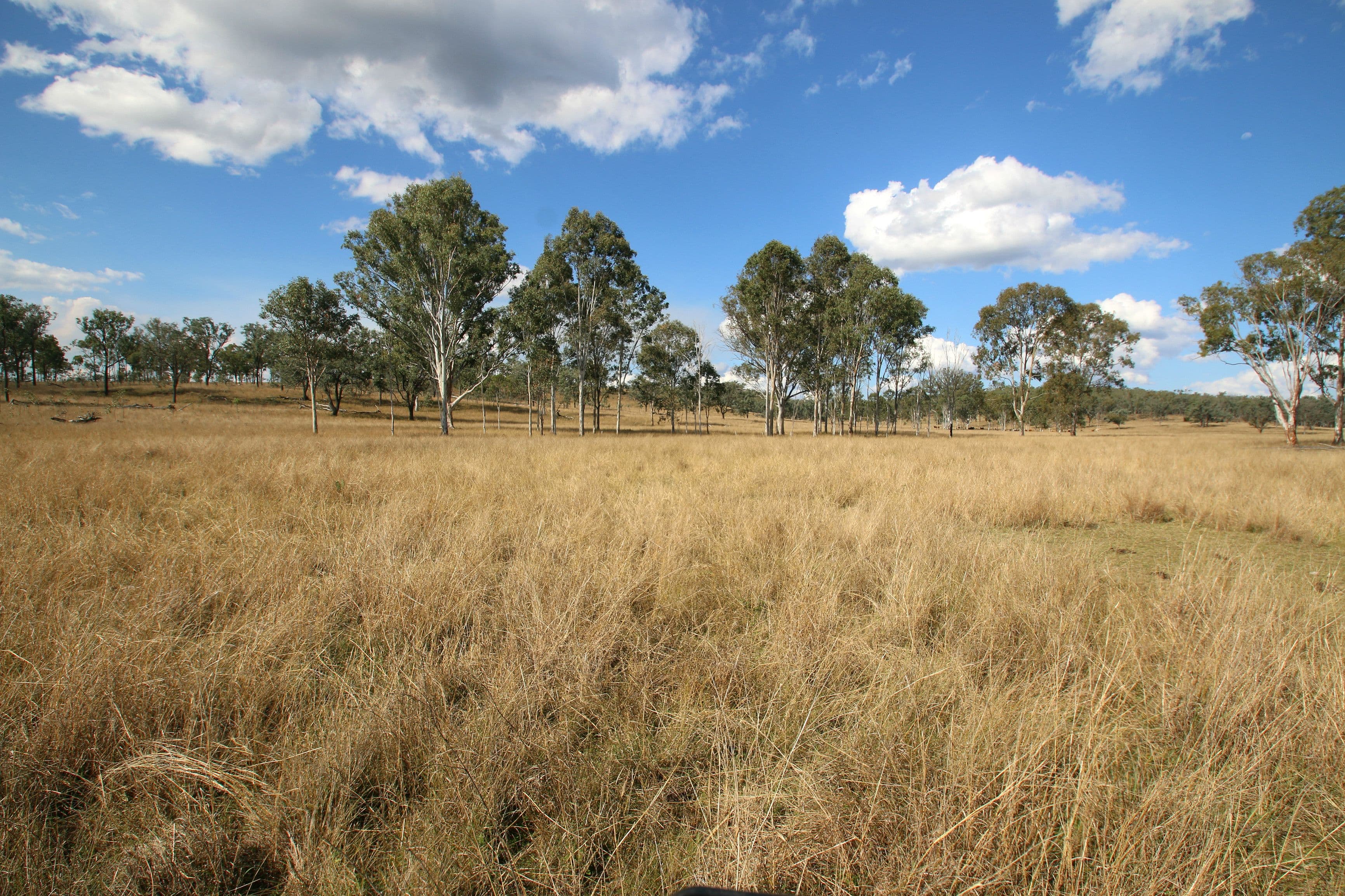 Monto QLD 4630, Monto - Thumbnail 4