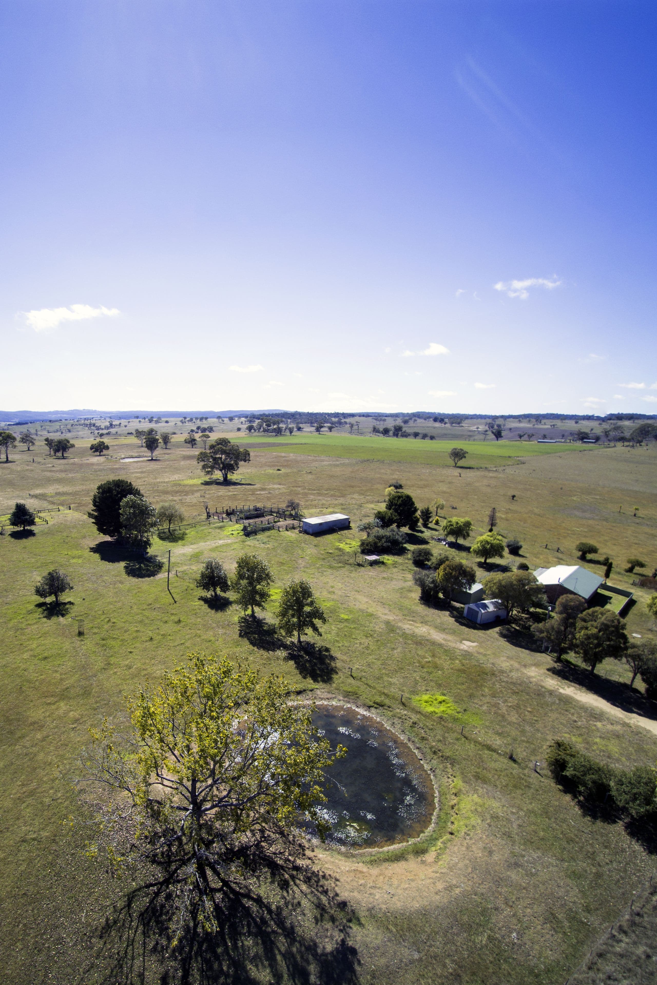 1325 Red Range Road, Glen Innes NSW 2370, Glen Innes - Thumbnail 3