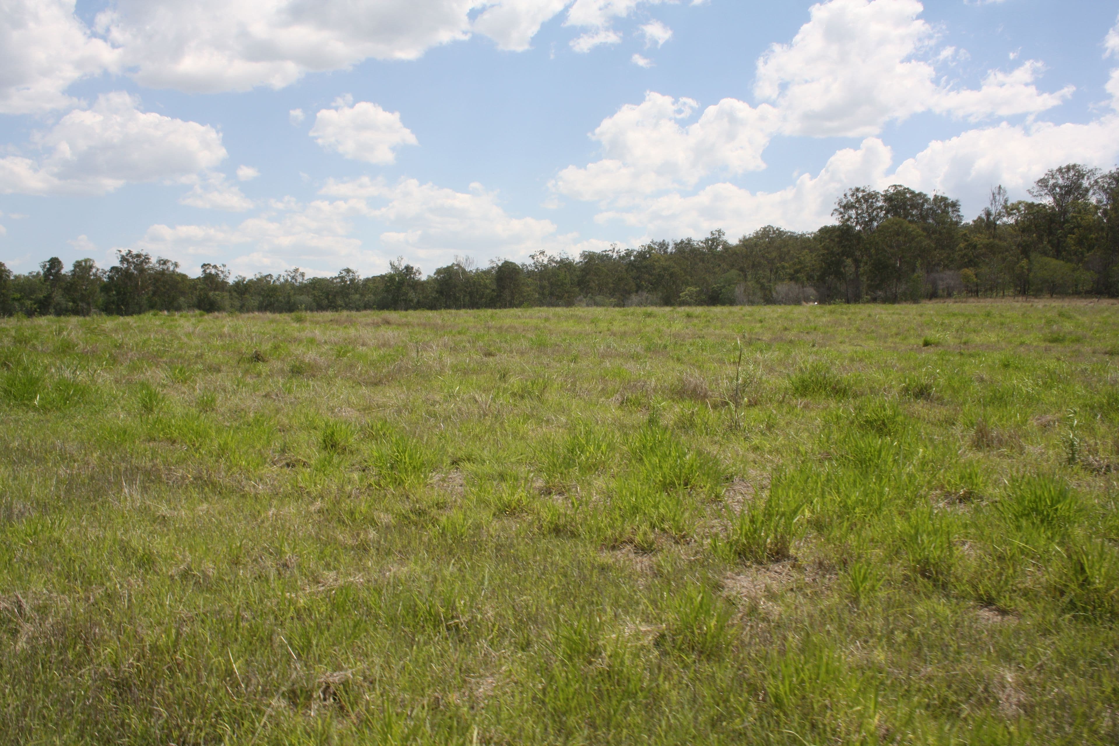 'Aplins' Delan Rd, Delan, Gin Gin QLD 4671, Gin Gin - Thumbnail 4