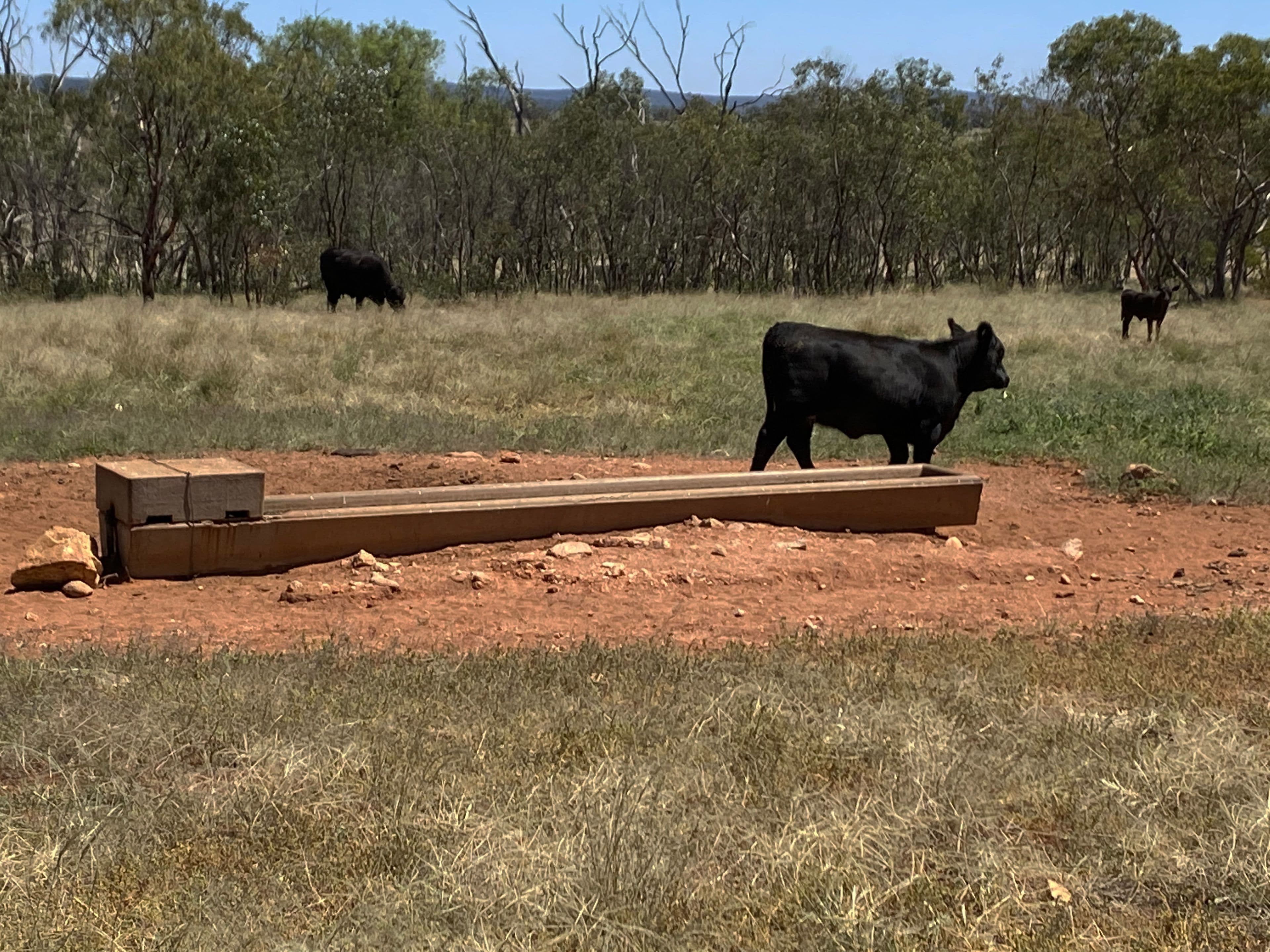 918 The Springs Road, Rankins Springs NSW 2669, Rankins Springs - Thumbnail 8