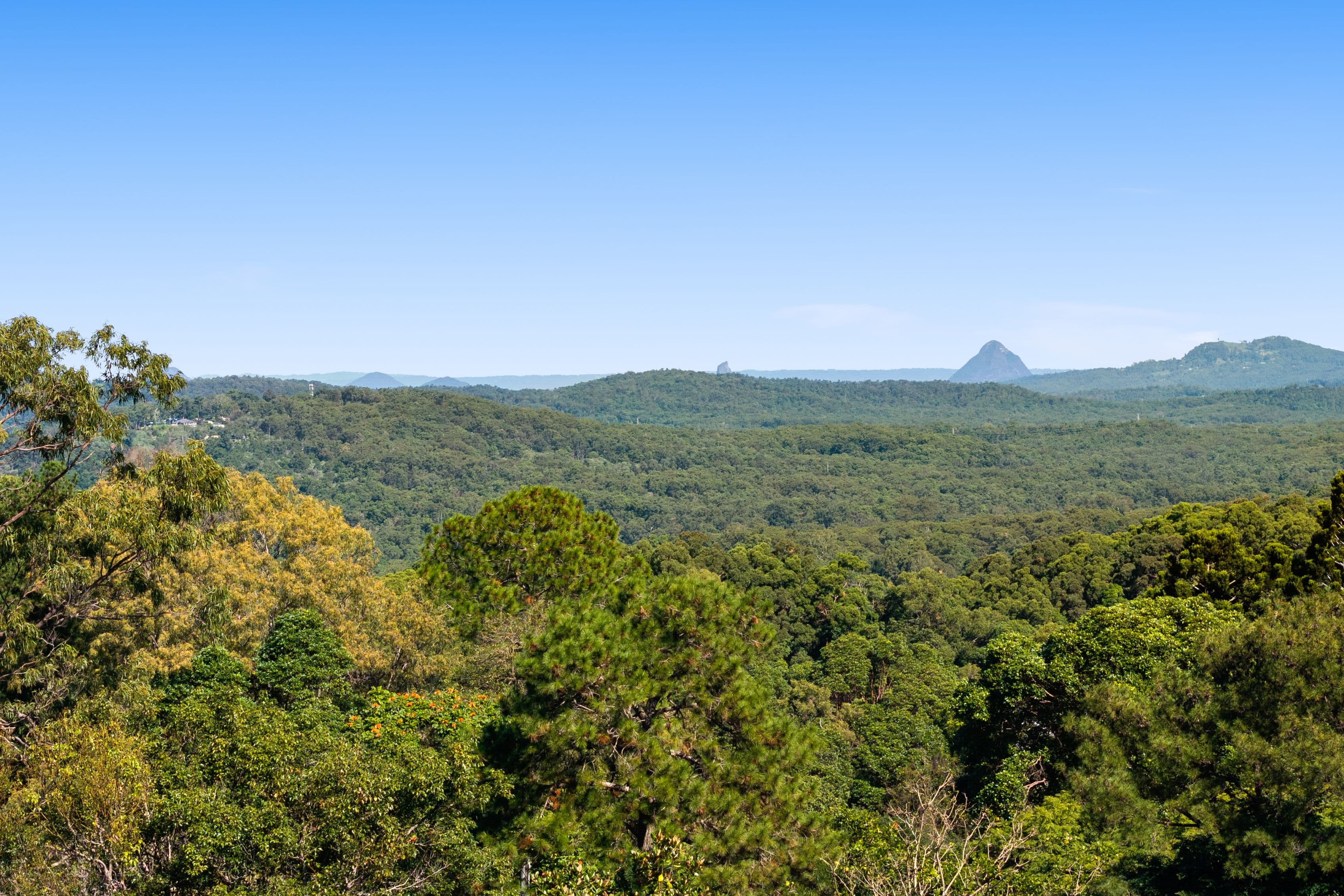 12 Highland Place, Buderim QLD 4556, Buderim - Thumbnail 5