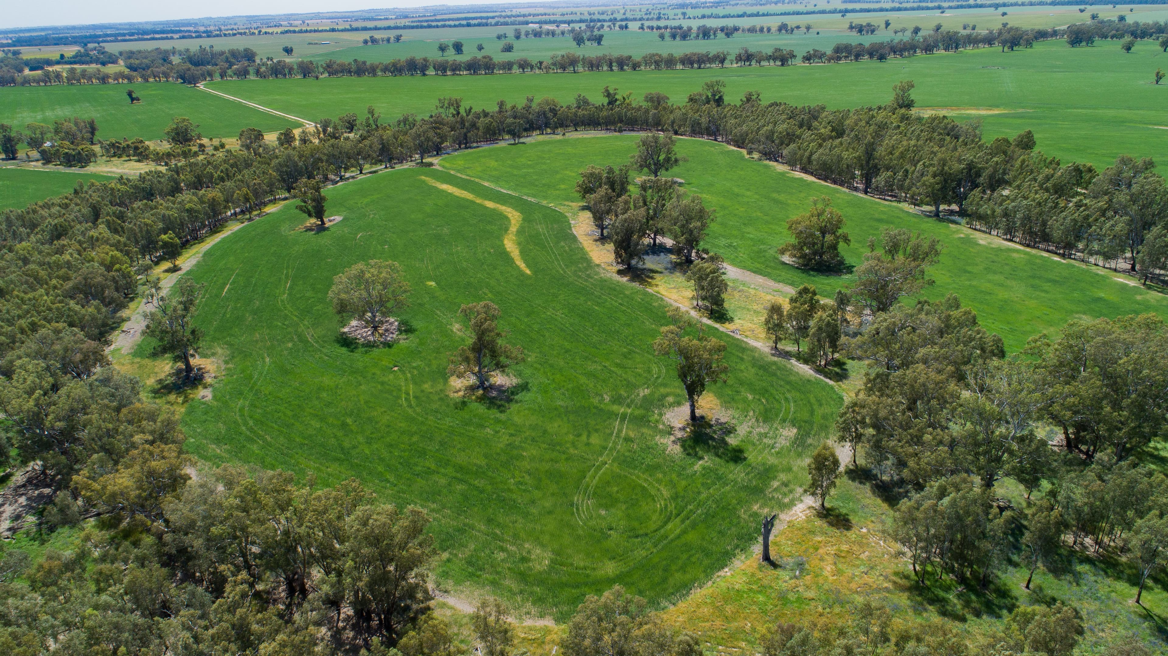 Wagga Wagga NSW 2650, Wagga Wagga - Thumbnail 2