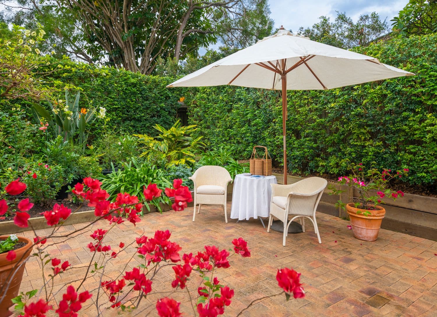 17 Burrell Street, Clayfield QLD 4011, Clayfield - Thumbnail 3