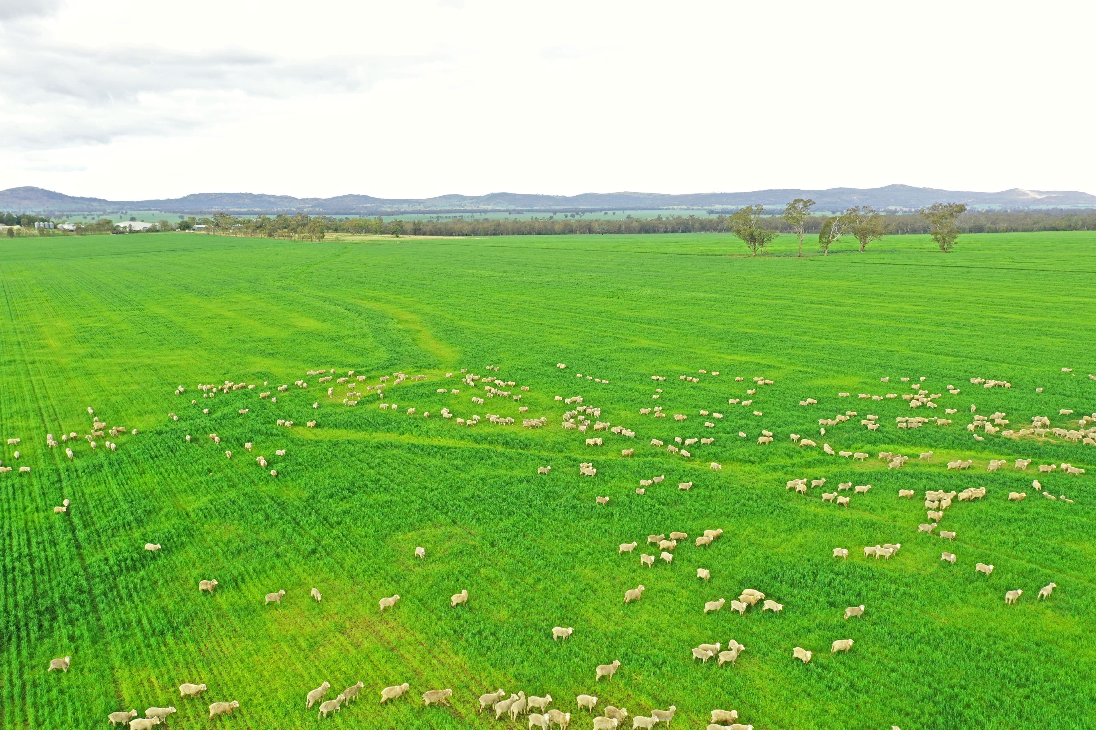 Grenfell NSW 2810, Grenfell - Thumbnail 3