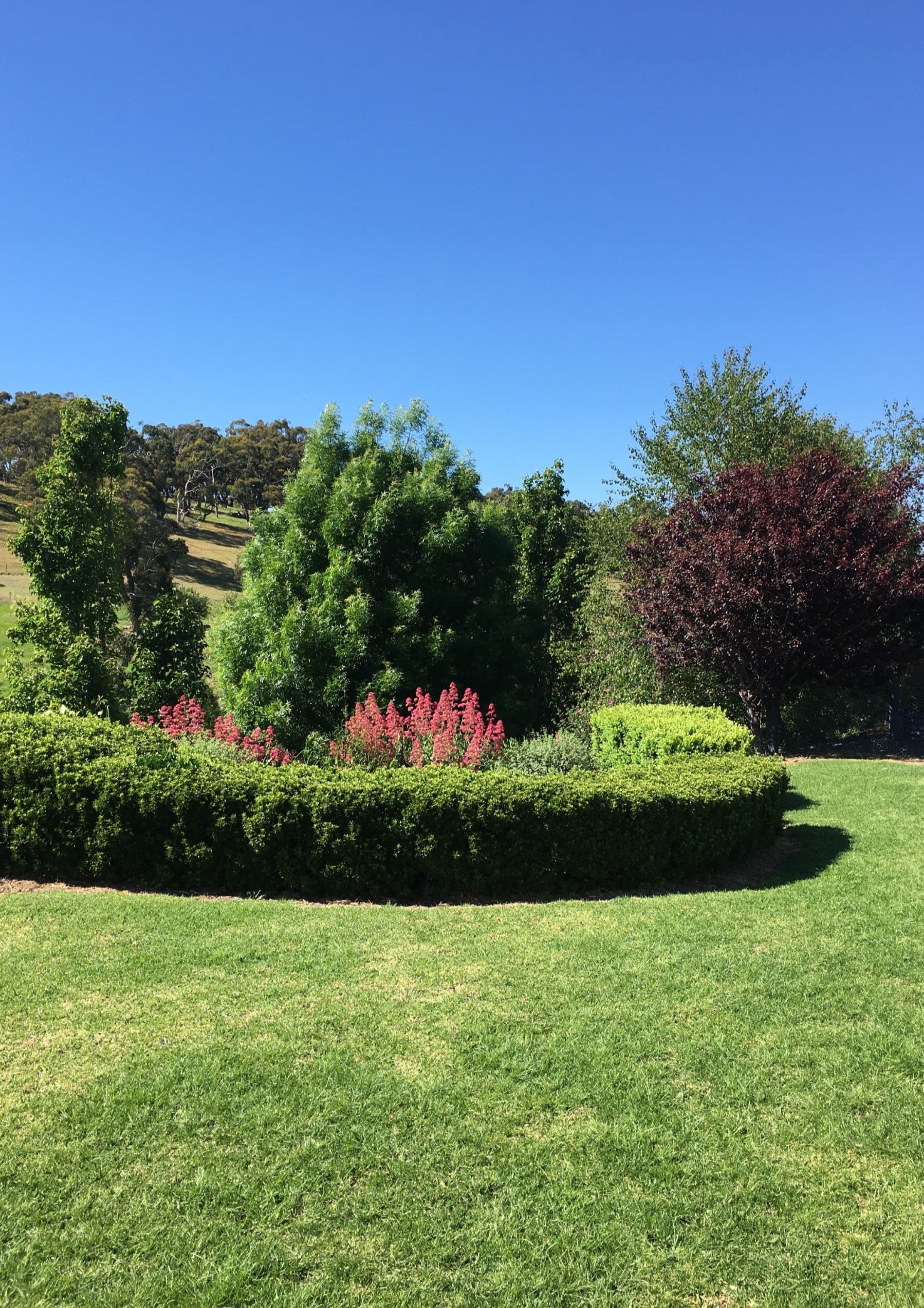 81 Totness Road, Hahndorf SA 5245, Hahndorf - Thumbnail 5