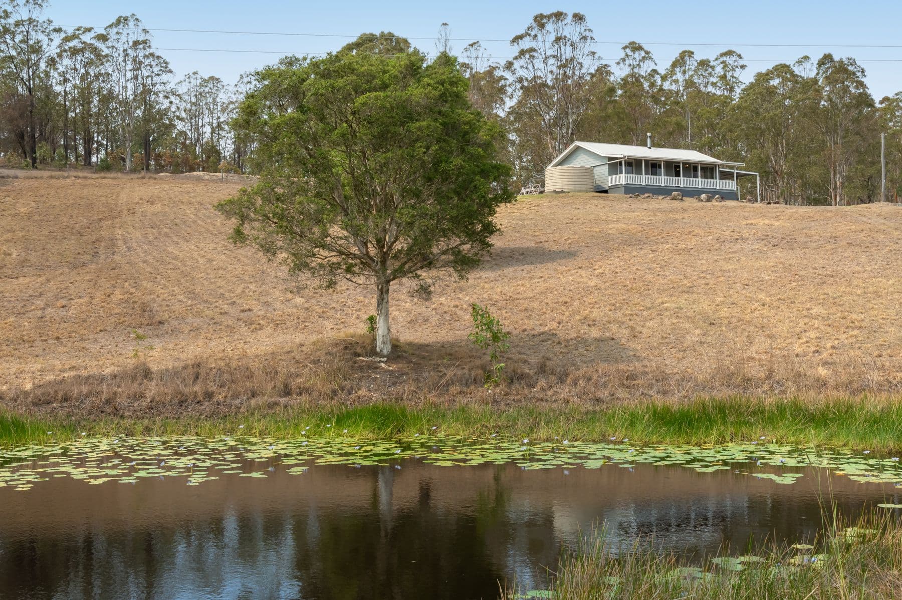1703 Booral Road, Girvan Via, Stroud NSW 2425, Stroud - Thumbnail 2
