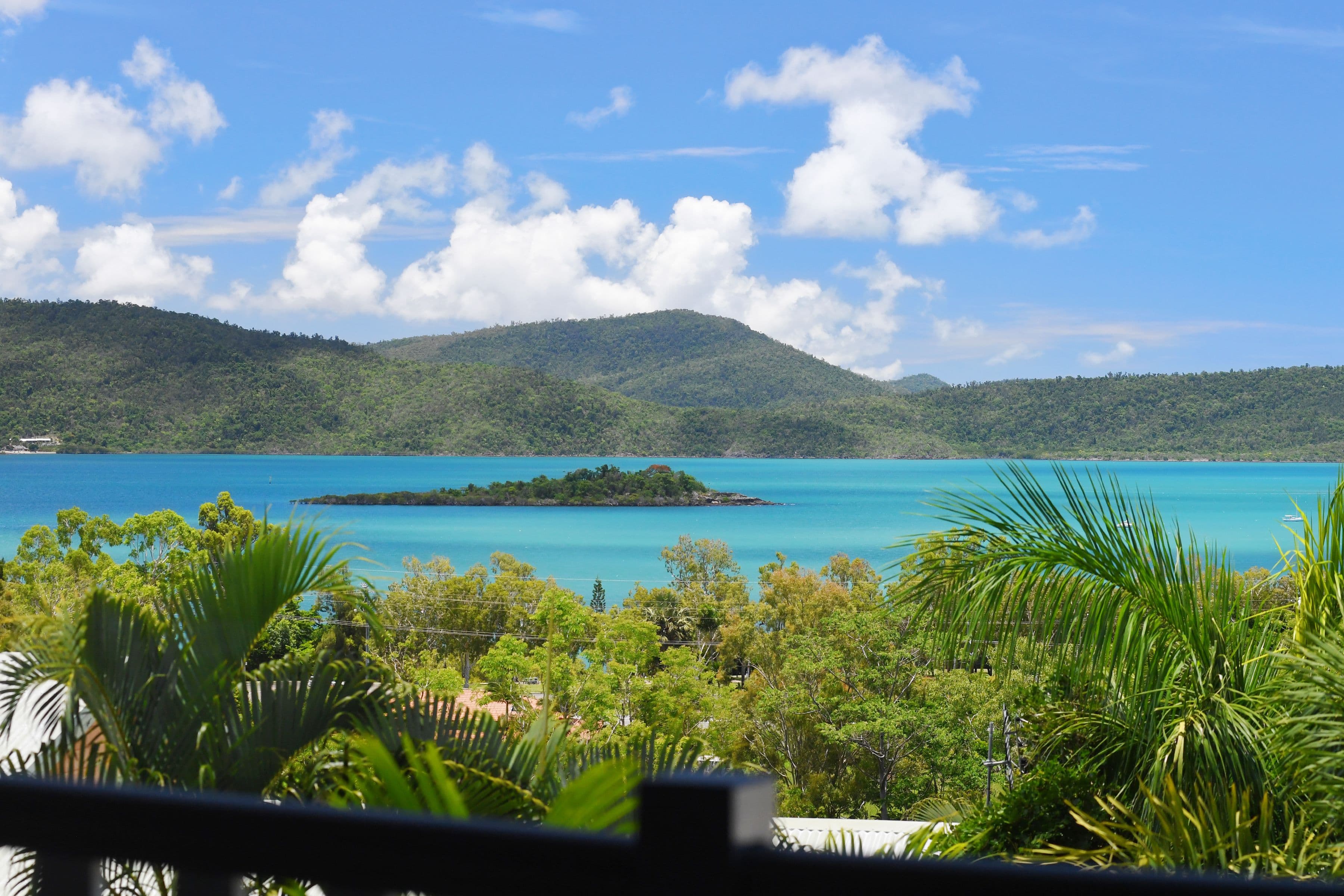 59 Eshelby Drive, Cannonvale QLD 4802, Cannonvale - Thumbnail 4