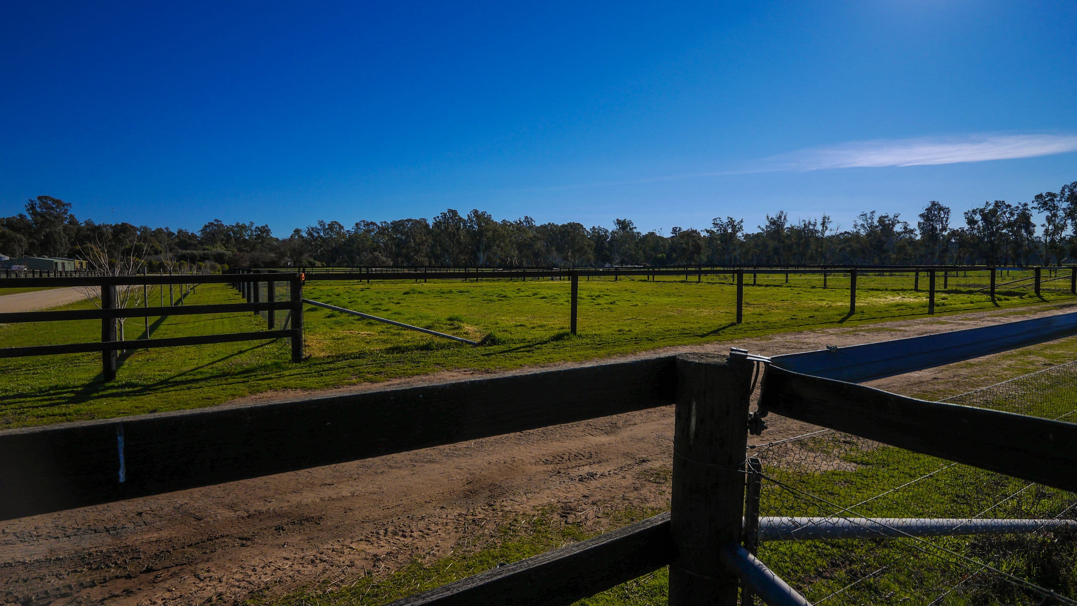 87 Morrissy Lane, Nagambie VIC 3608, Nagambie - Thumbnail 5