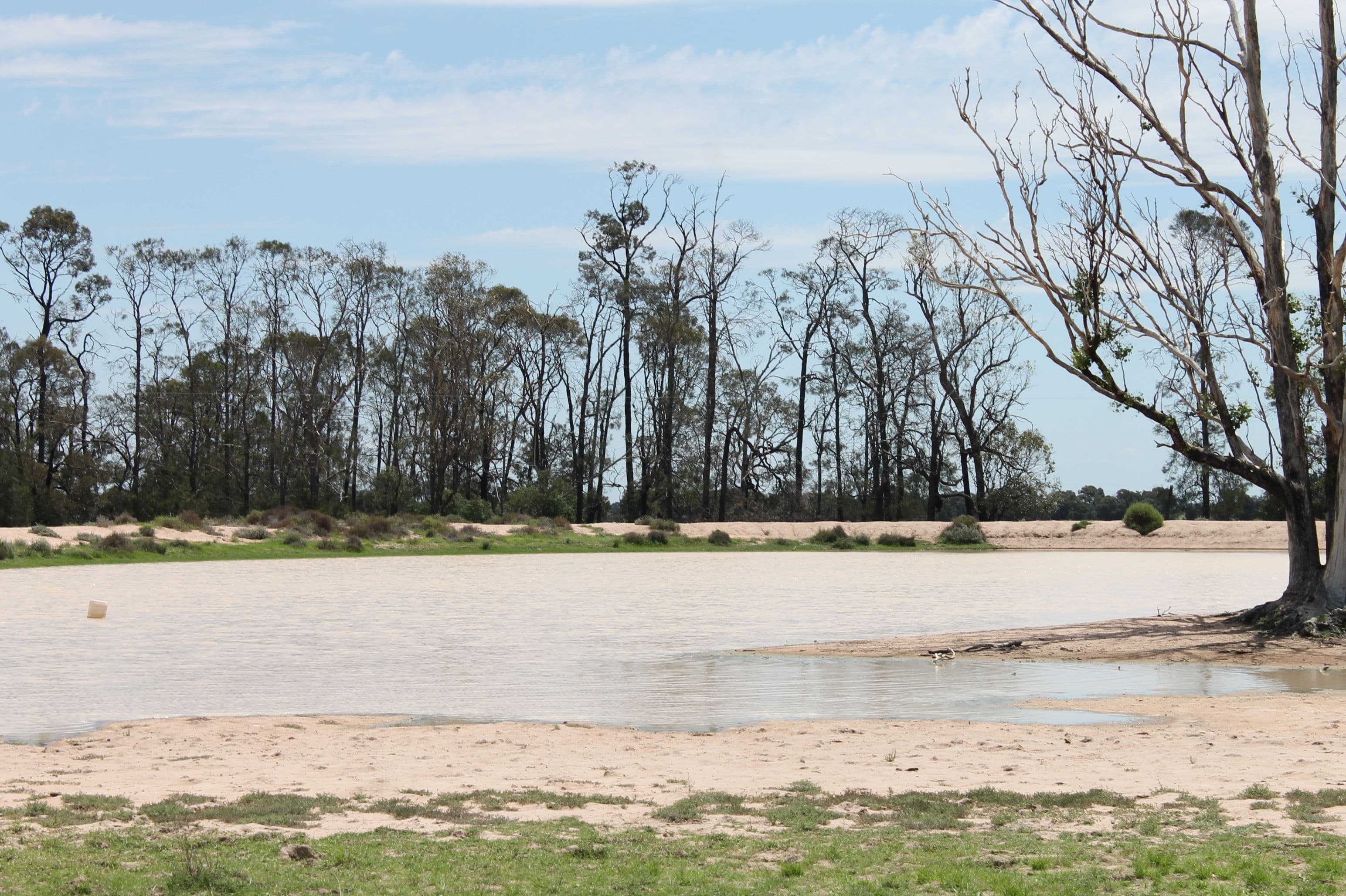 . Millmerran-Cecil Plains Road, Cecil Plains QLD 4407, Cecil Plains - Thumbnail 2