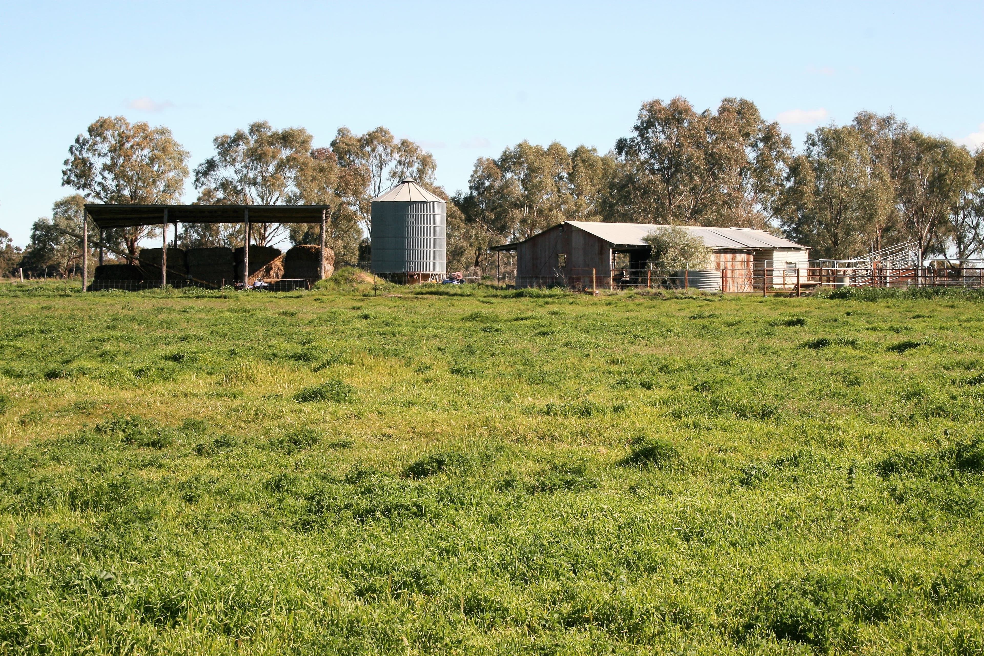 00 Minard Lane, Bamawm VIC 3561, Bamawm - Image 1